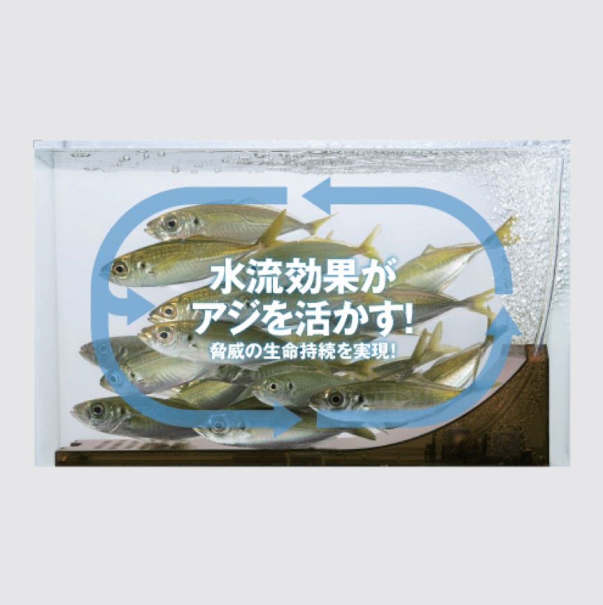 Meiho Ajikan Cyclone Live Bait Cooler (383 x 228 x 232 mm) (0621)
