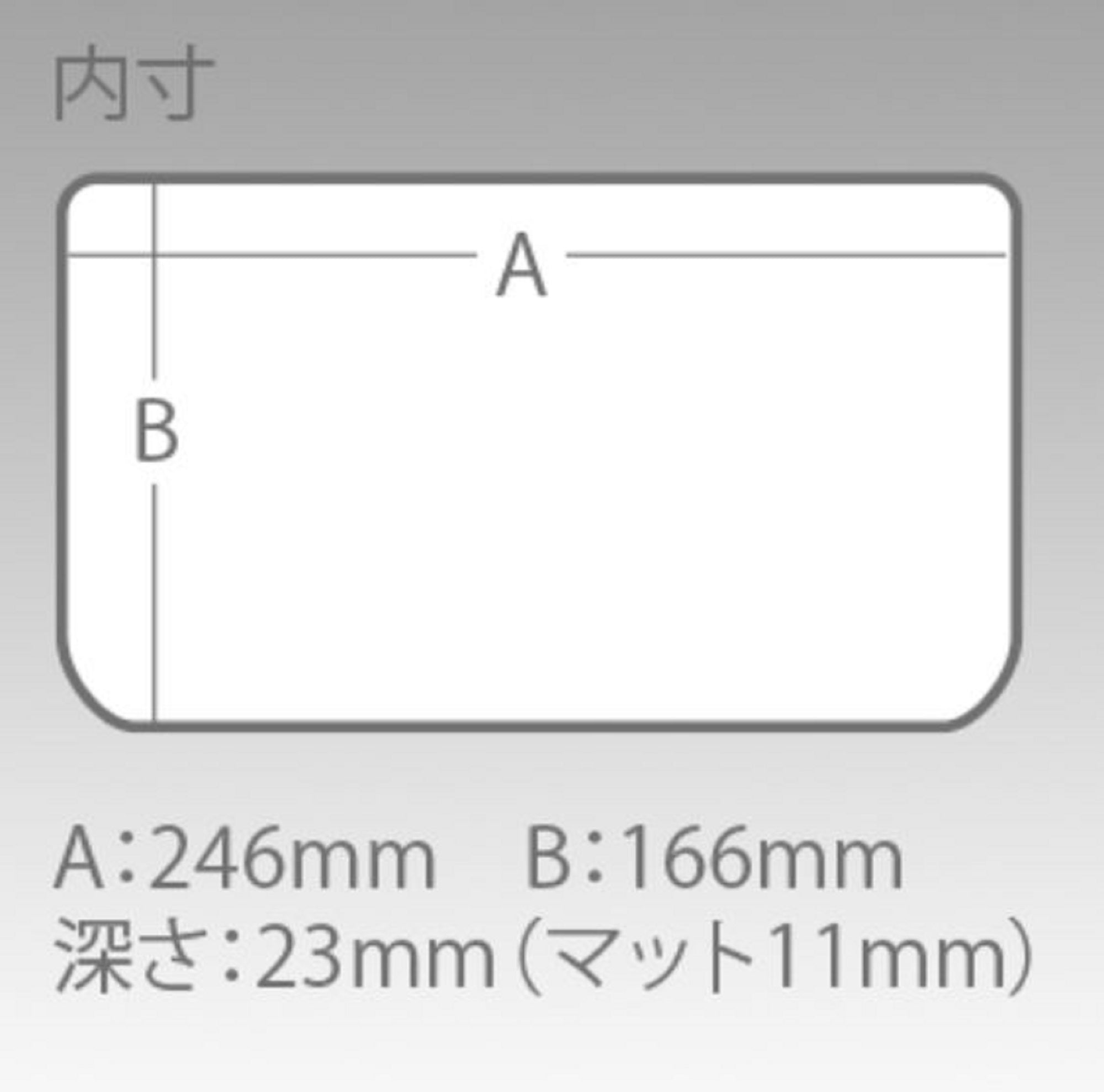 Meiho Slit Form Case 3020NS (255 x 190 x 28 mm) Clear (1076)