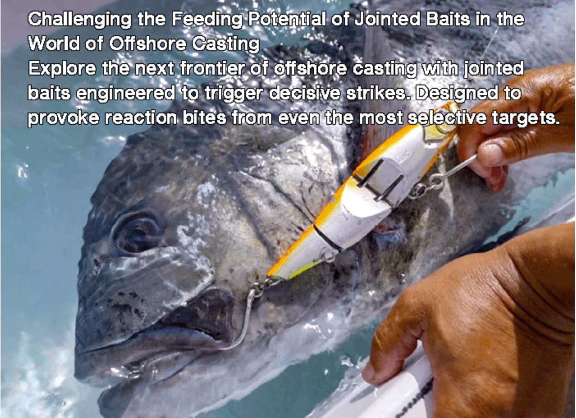 Lure Haven Singapore