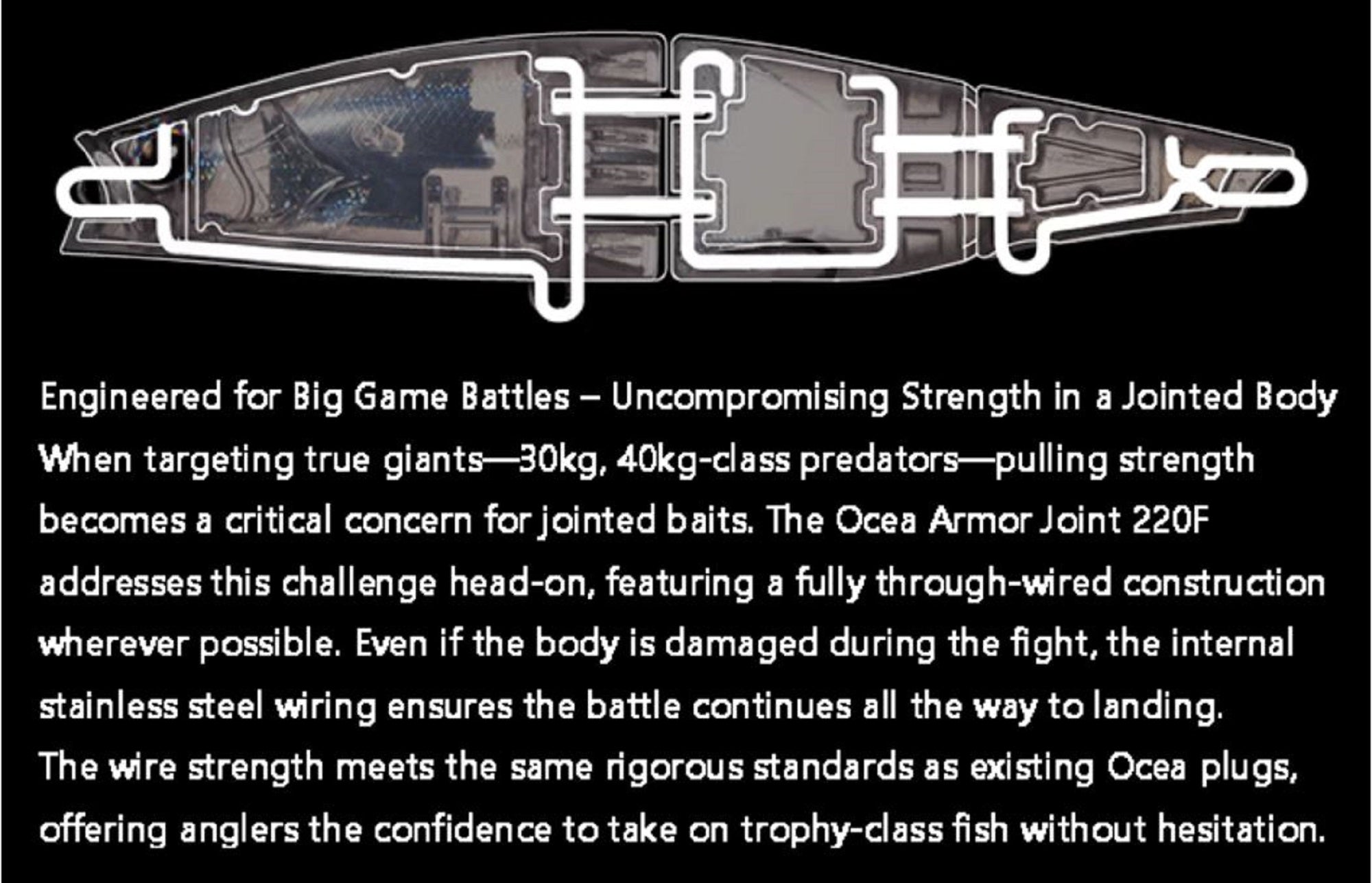 Lure Haven Singapore