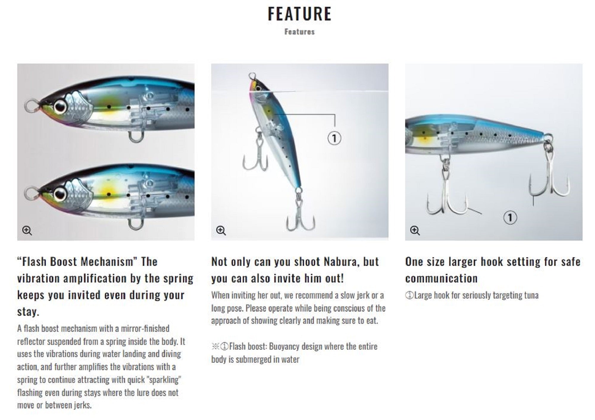 Lure Haven Singapore