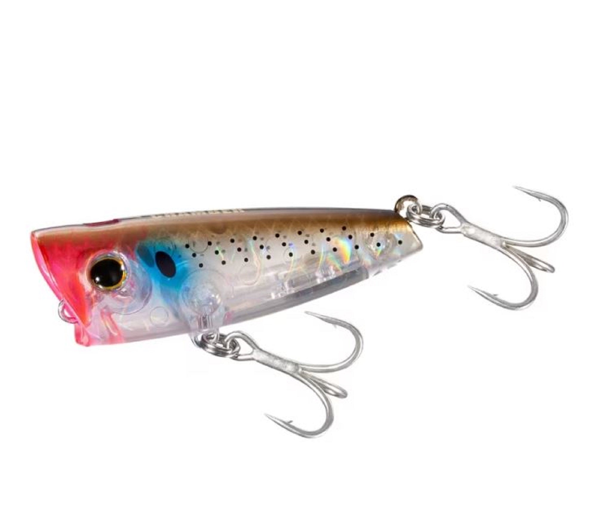 Lure Haven Singapore