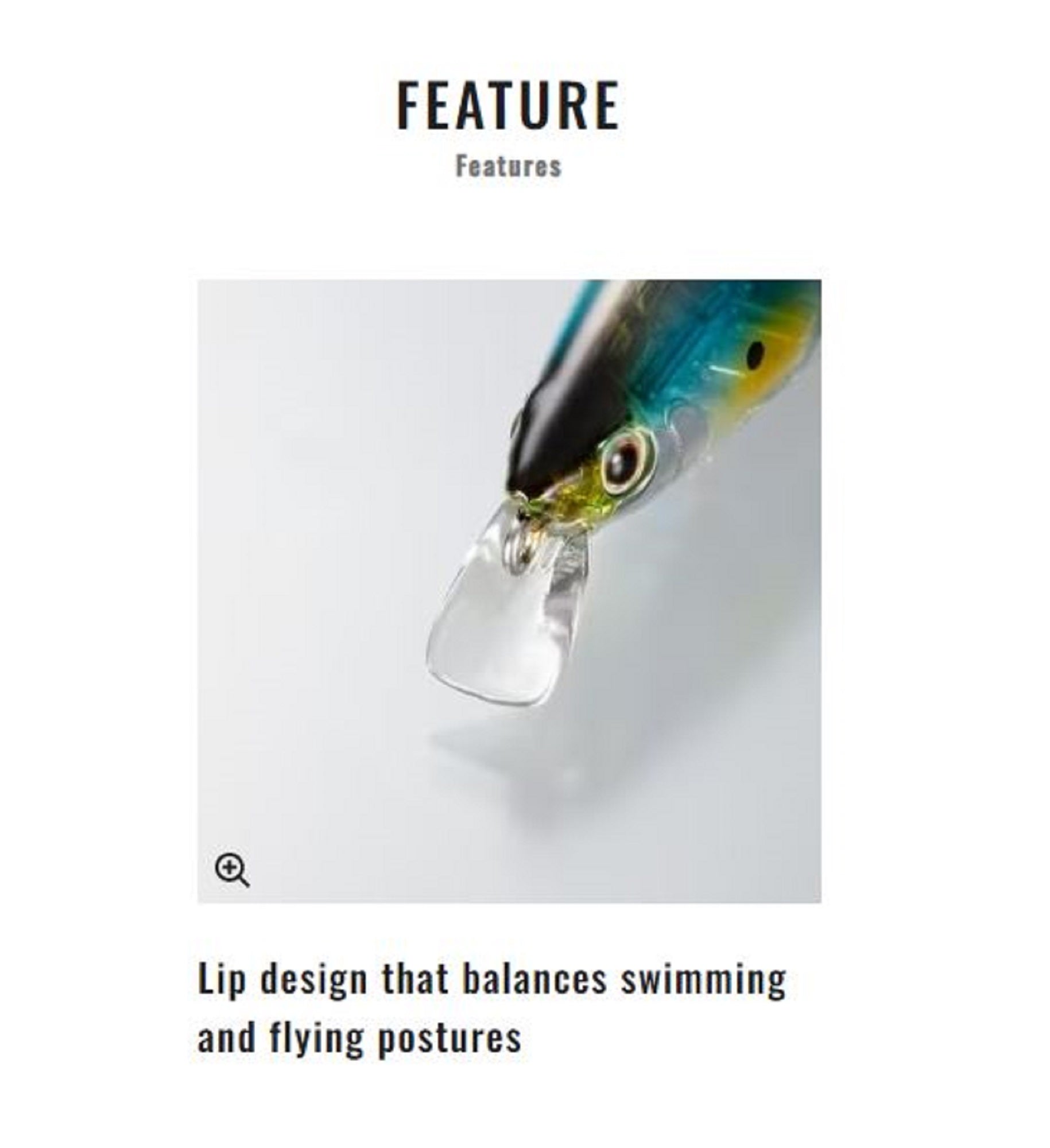 Lure Haven Singapore