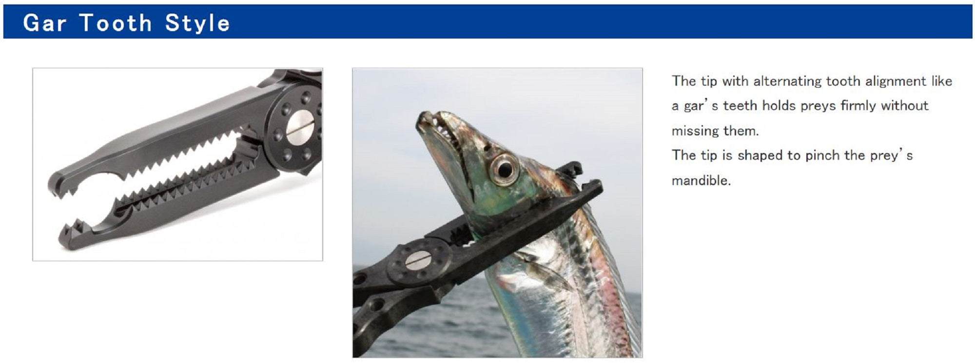 Daiichi #33203 Gar Grip MC Holster Fish Grip Fish Handling Tool Blk (2031)