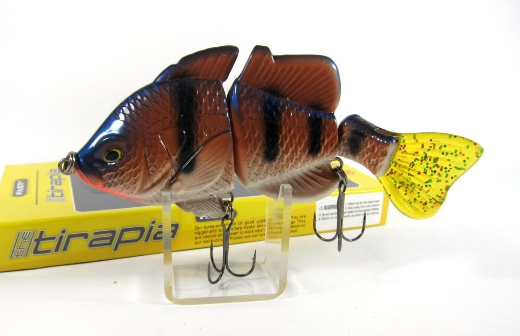 Lure Haven Singapore