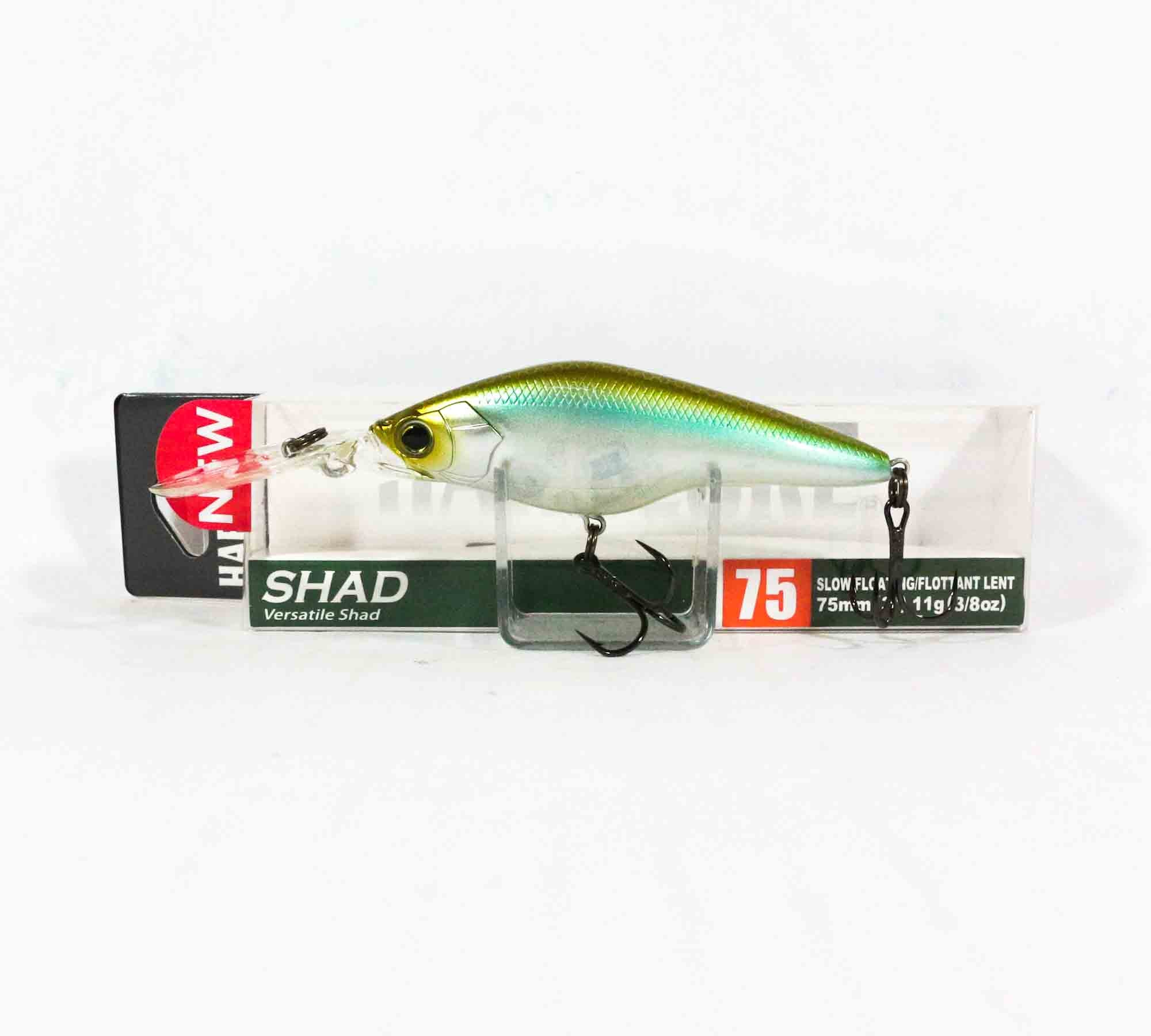 Lure Haven Singapore