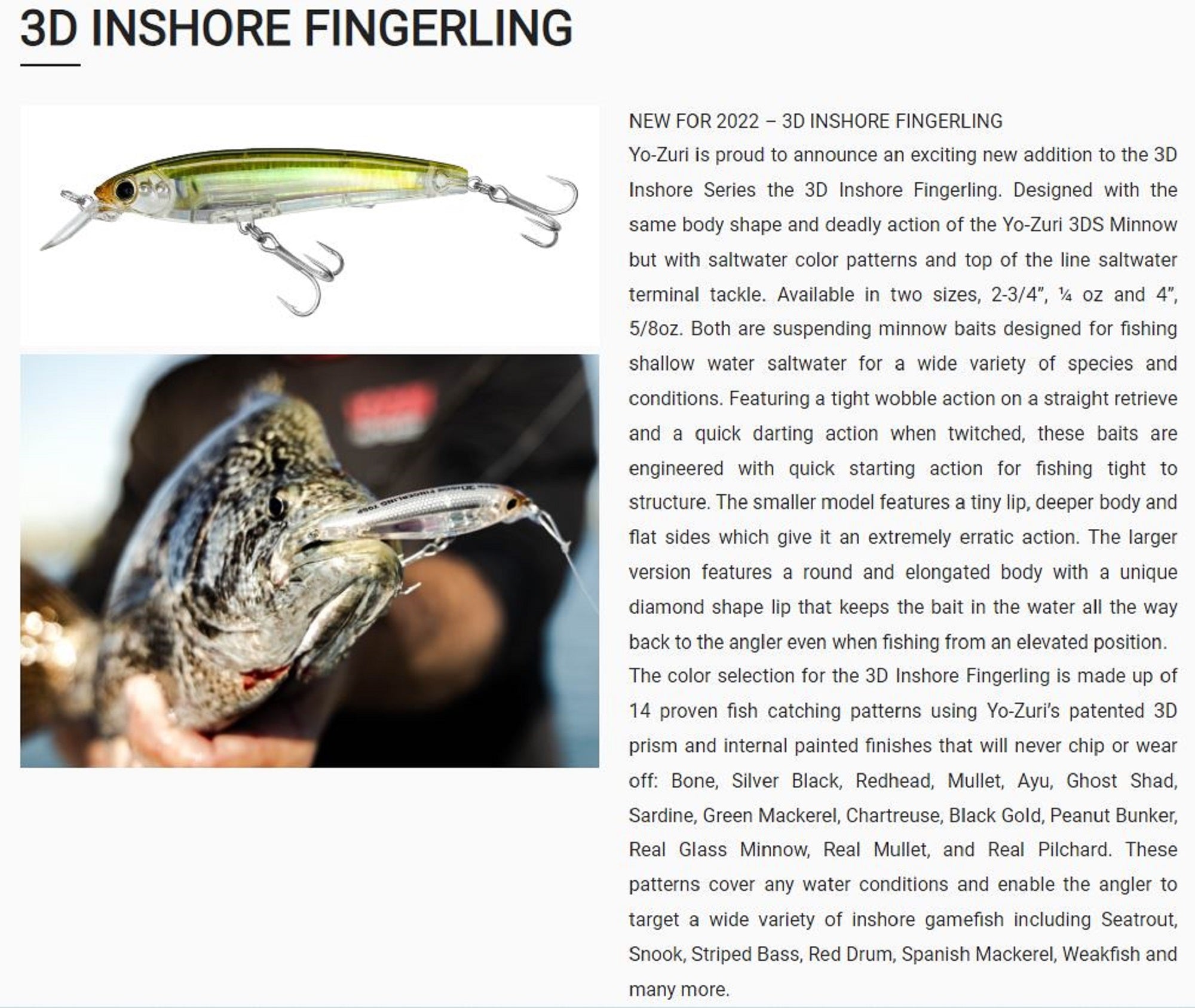 Lure Haven Singapore