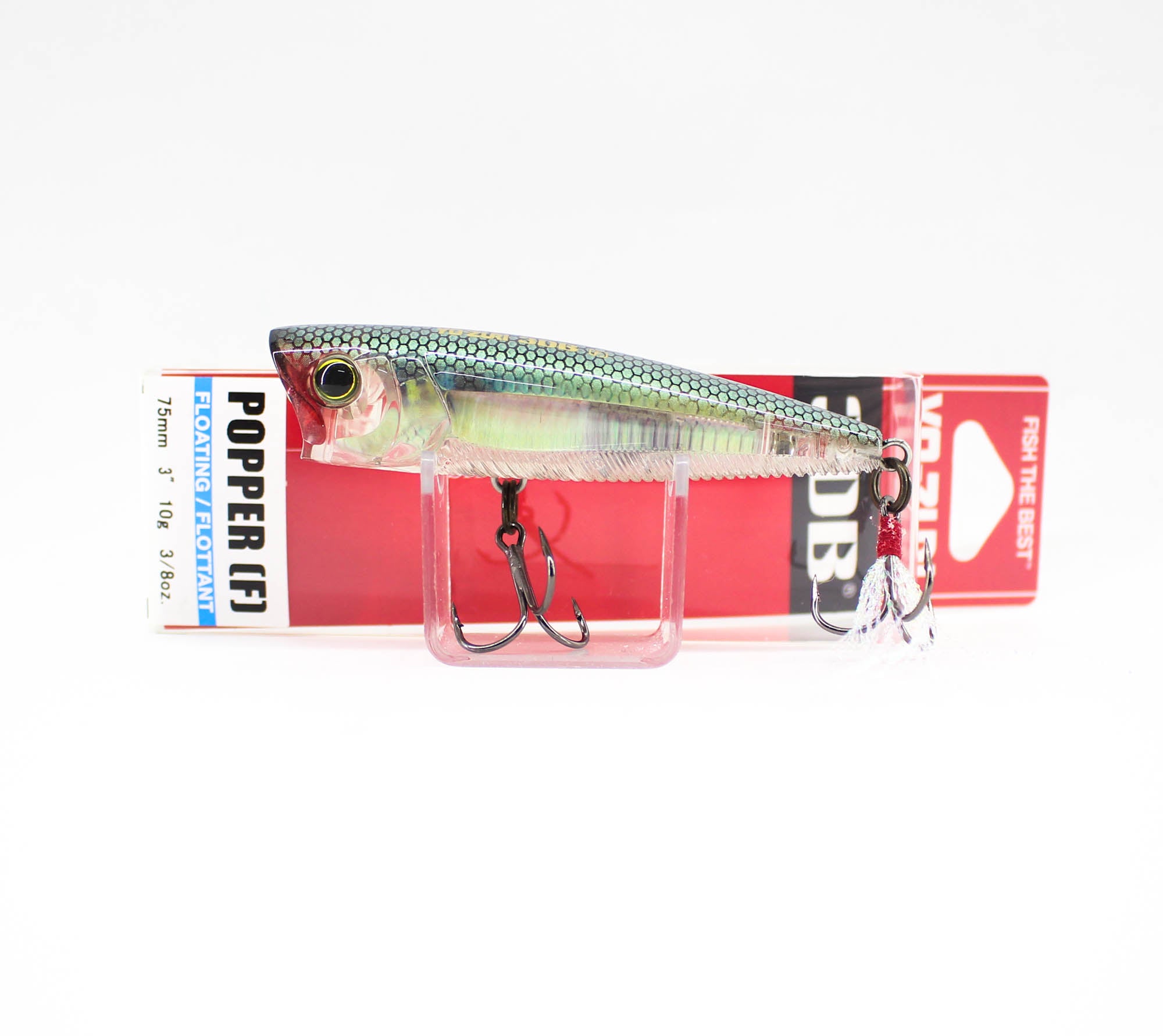 Lure Haven Singapore