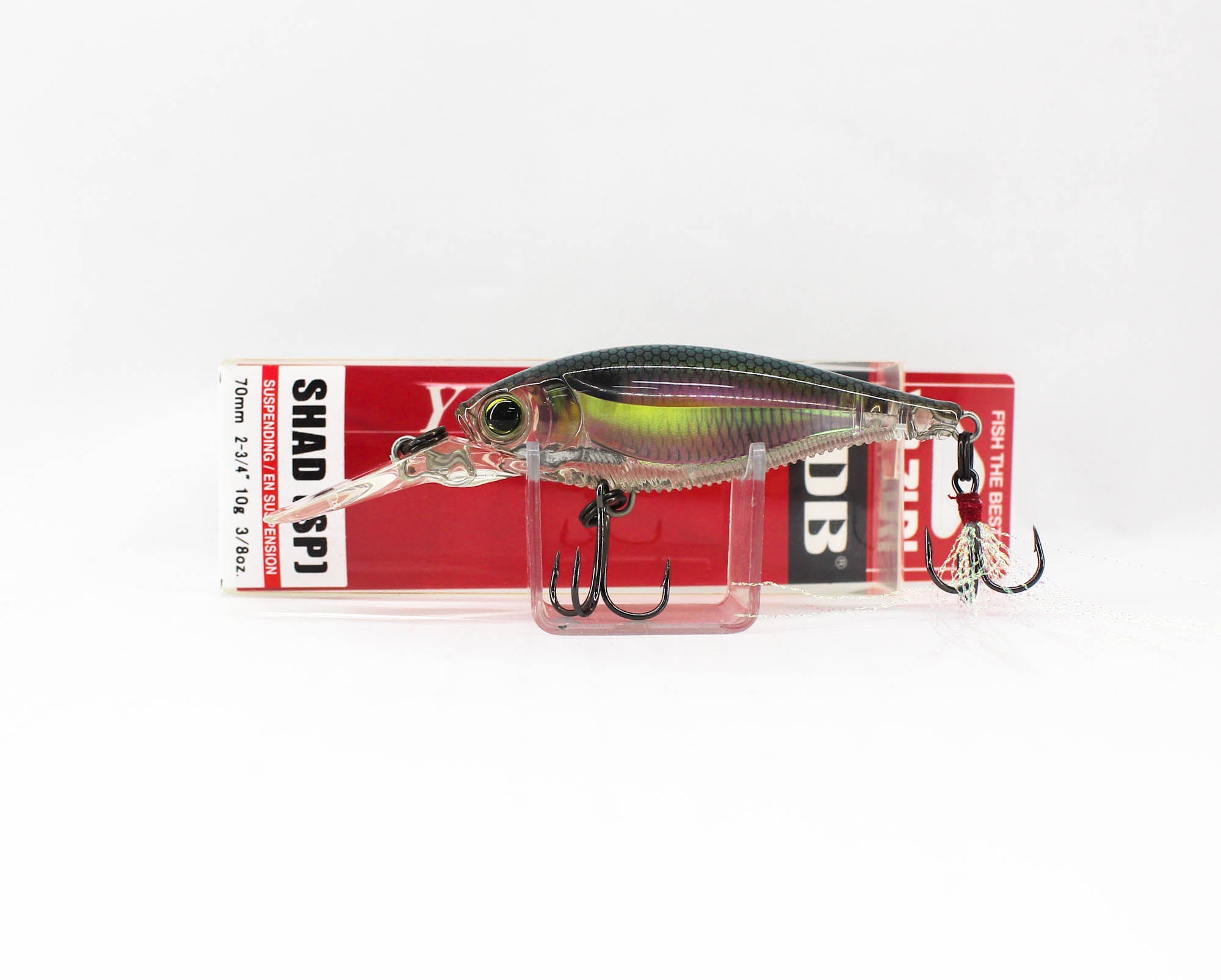 Lure Haven Singapore