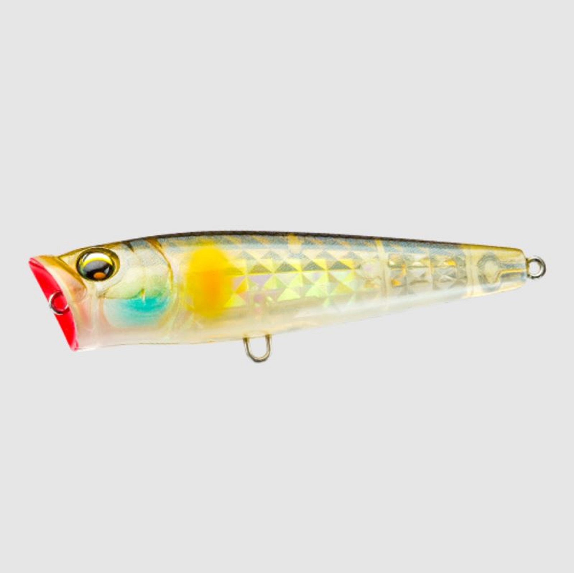 Lure Haven Singapore