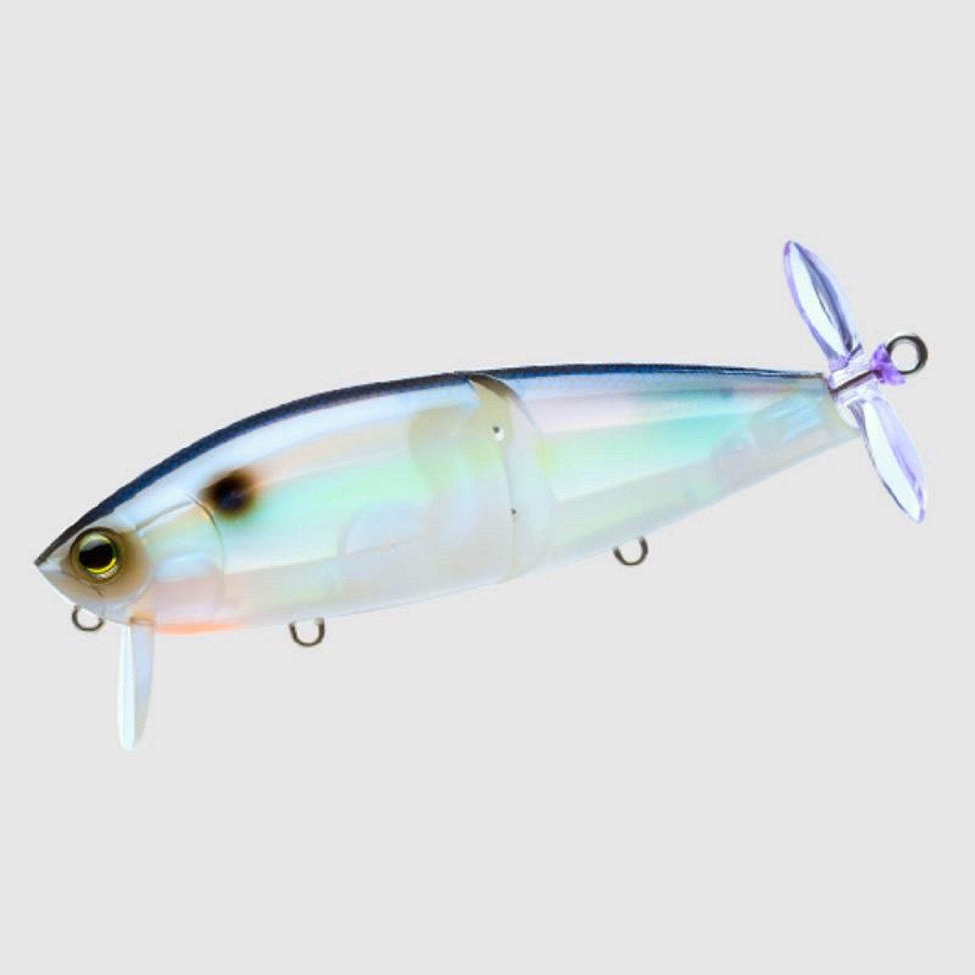 Lure Haven Singapore