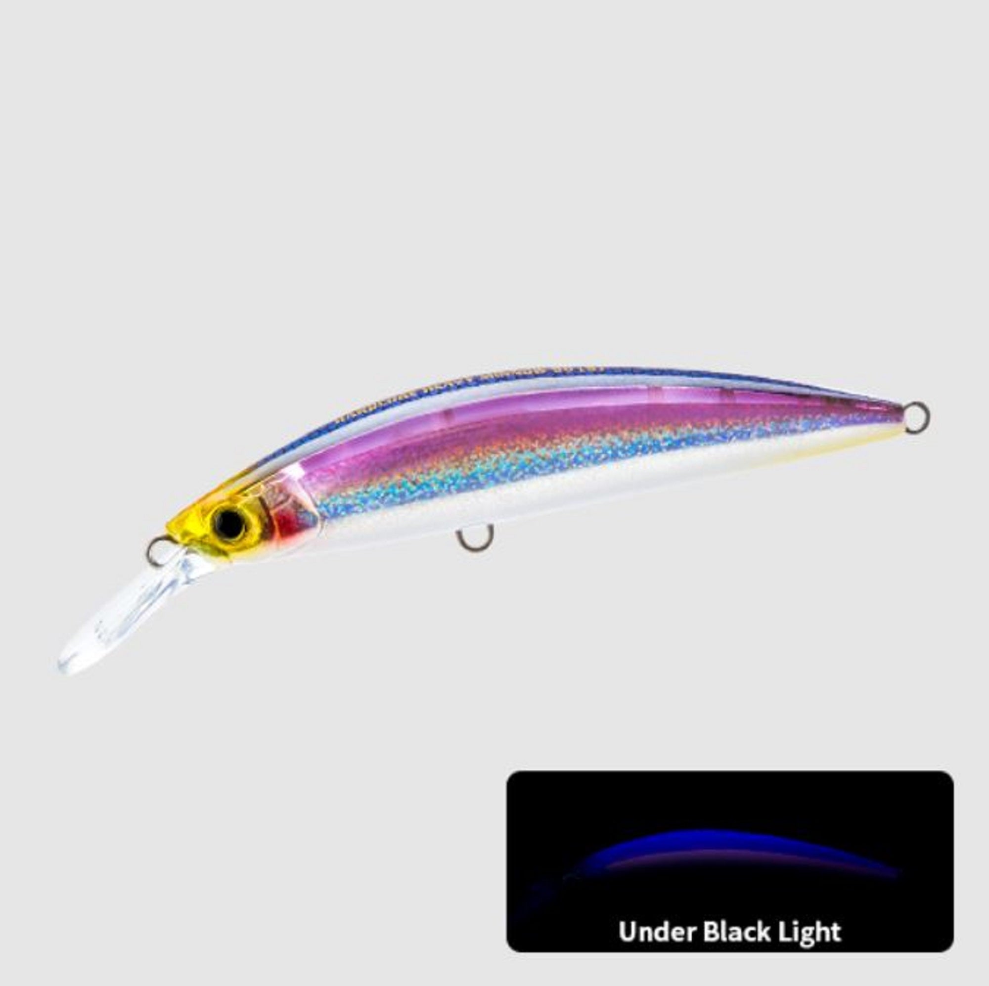 Lure Haven Singapore