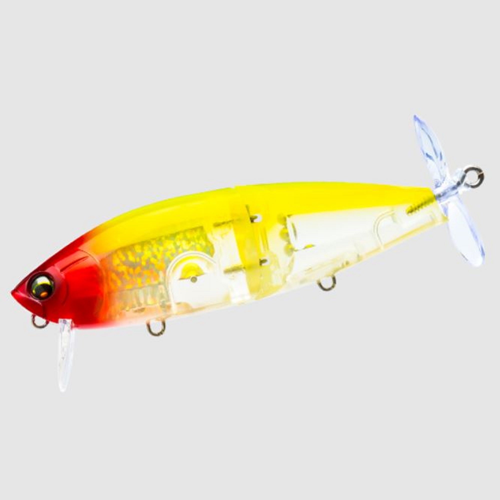 Lure Haven Singapore