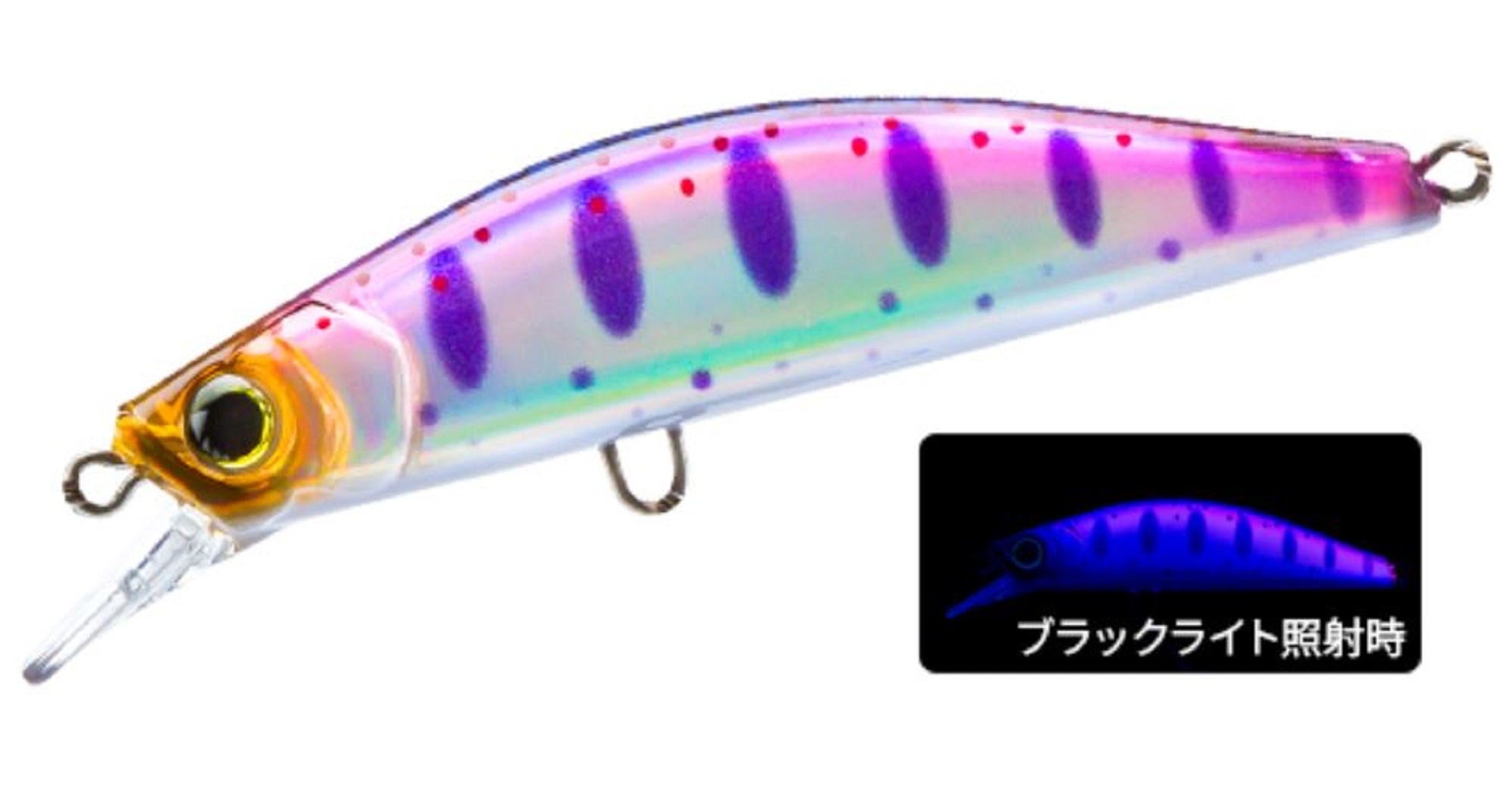 Lure Haven Singapore