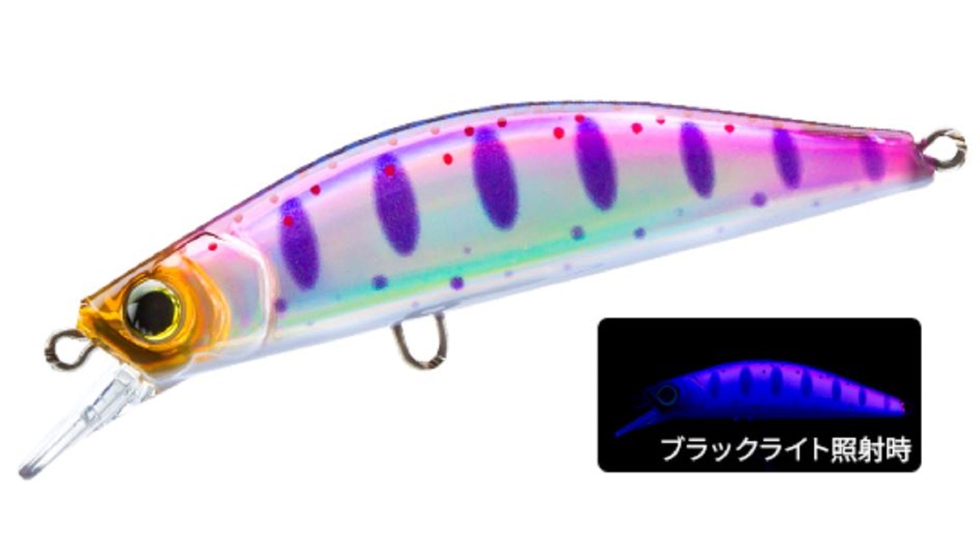 Lure Haven Singapore