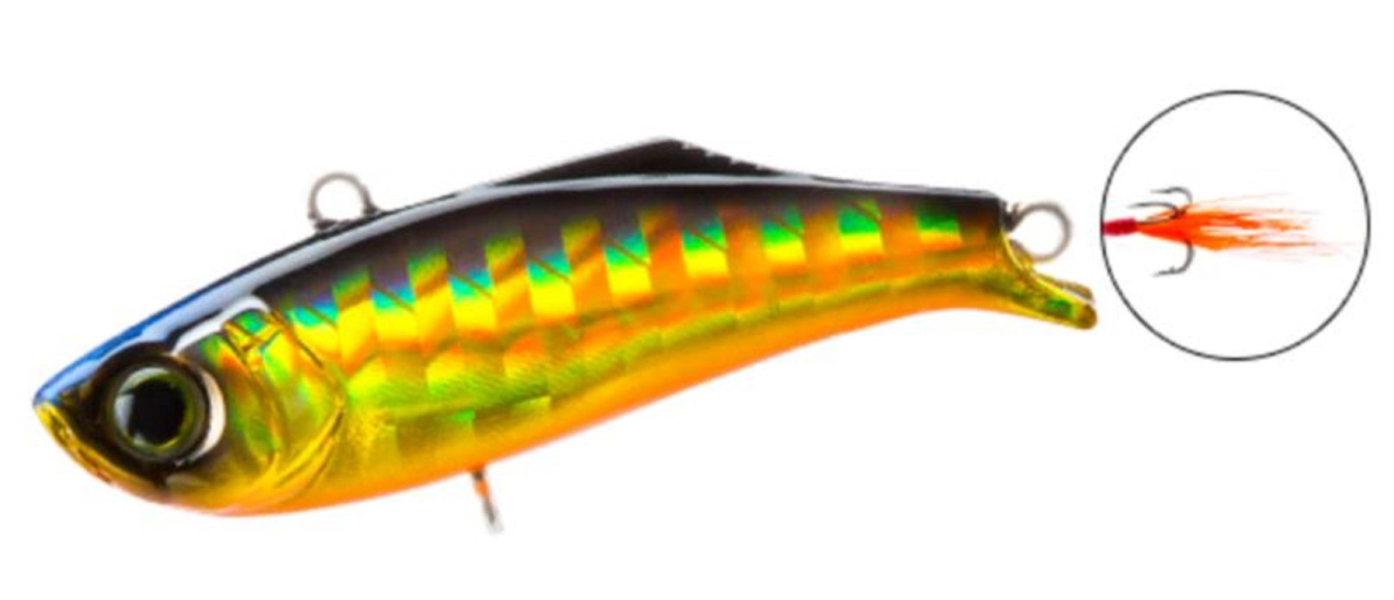 Lure Haven Singapore