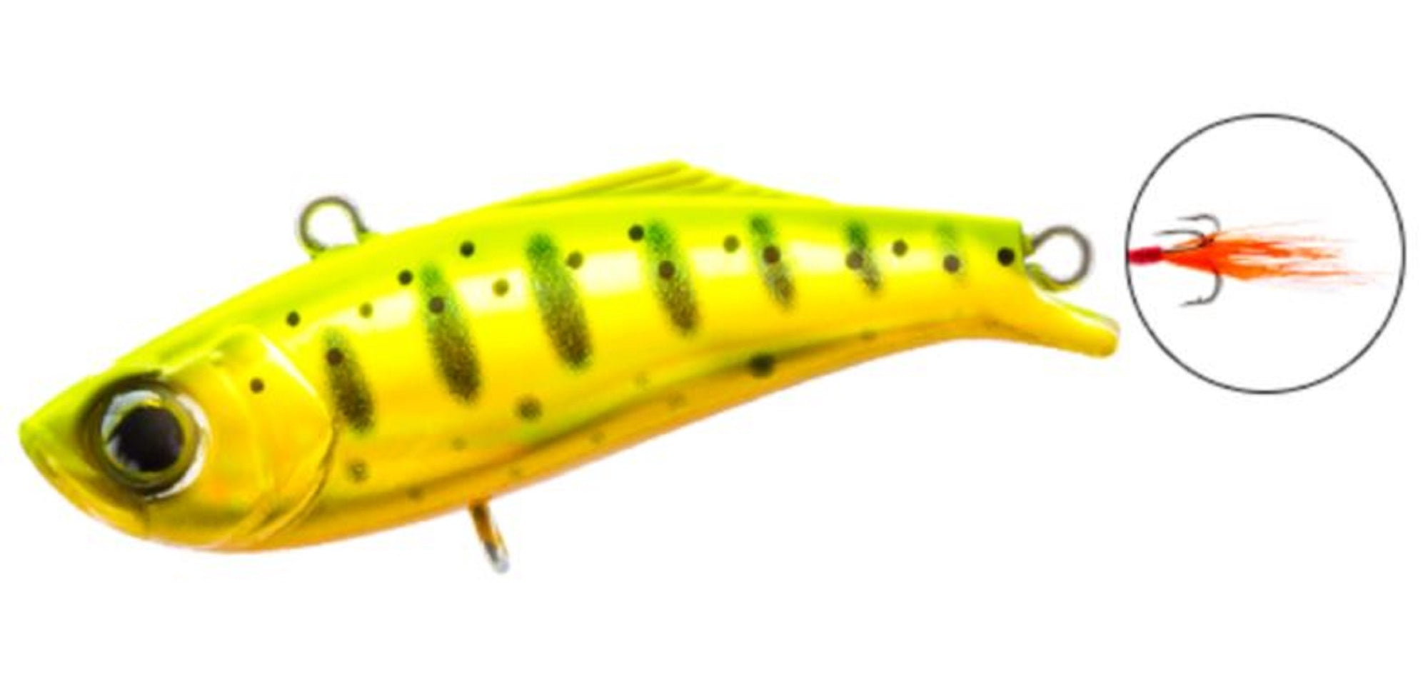 Lure Haven Singapore