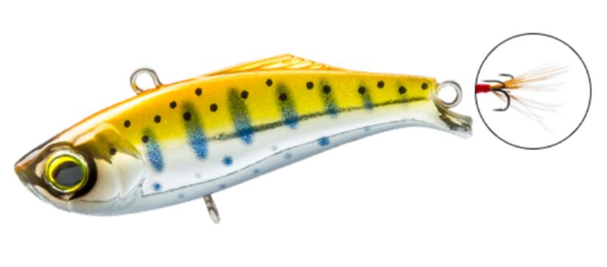 Lure Haven Singapore