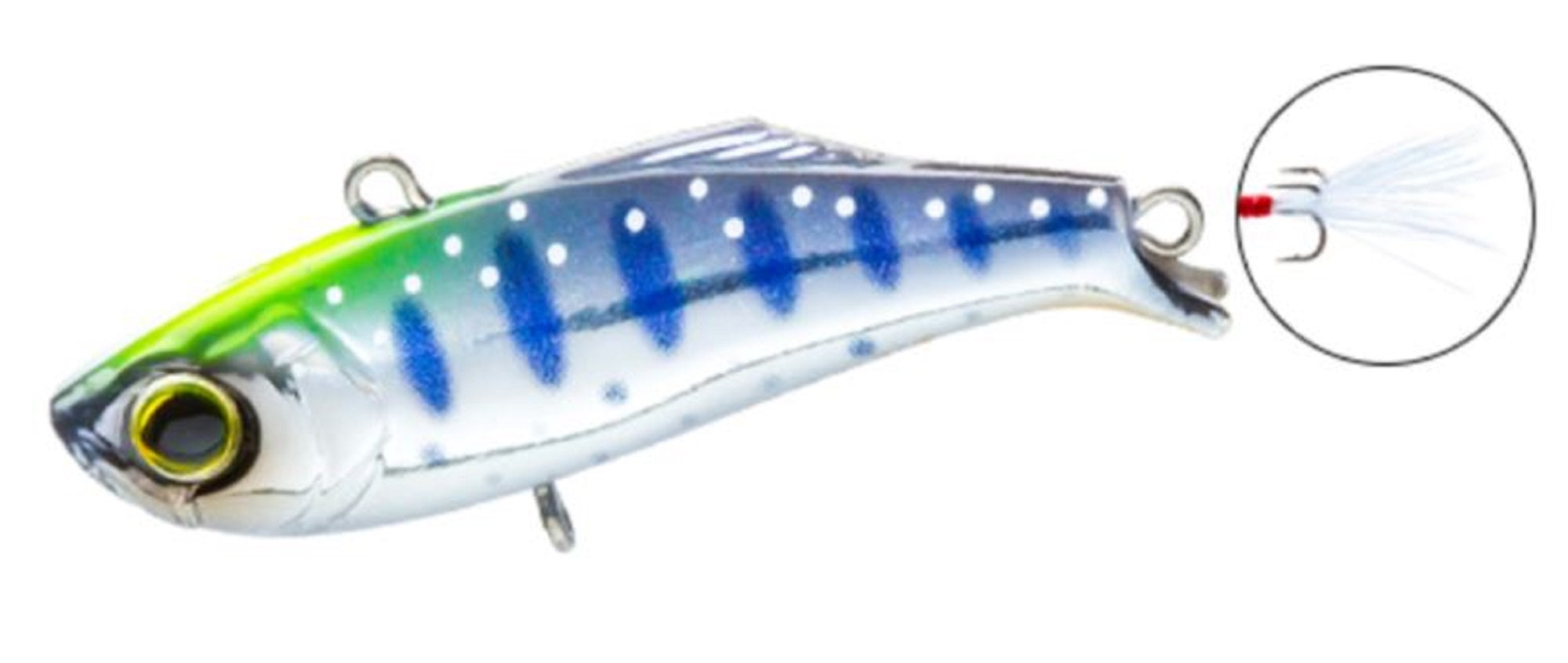 Lure Haven Singapore