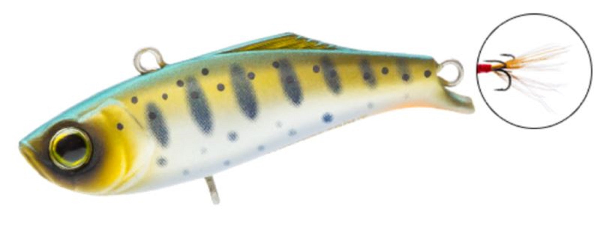 Lure Haven Singapore