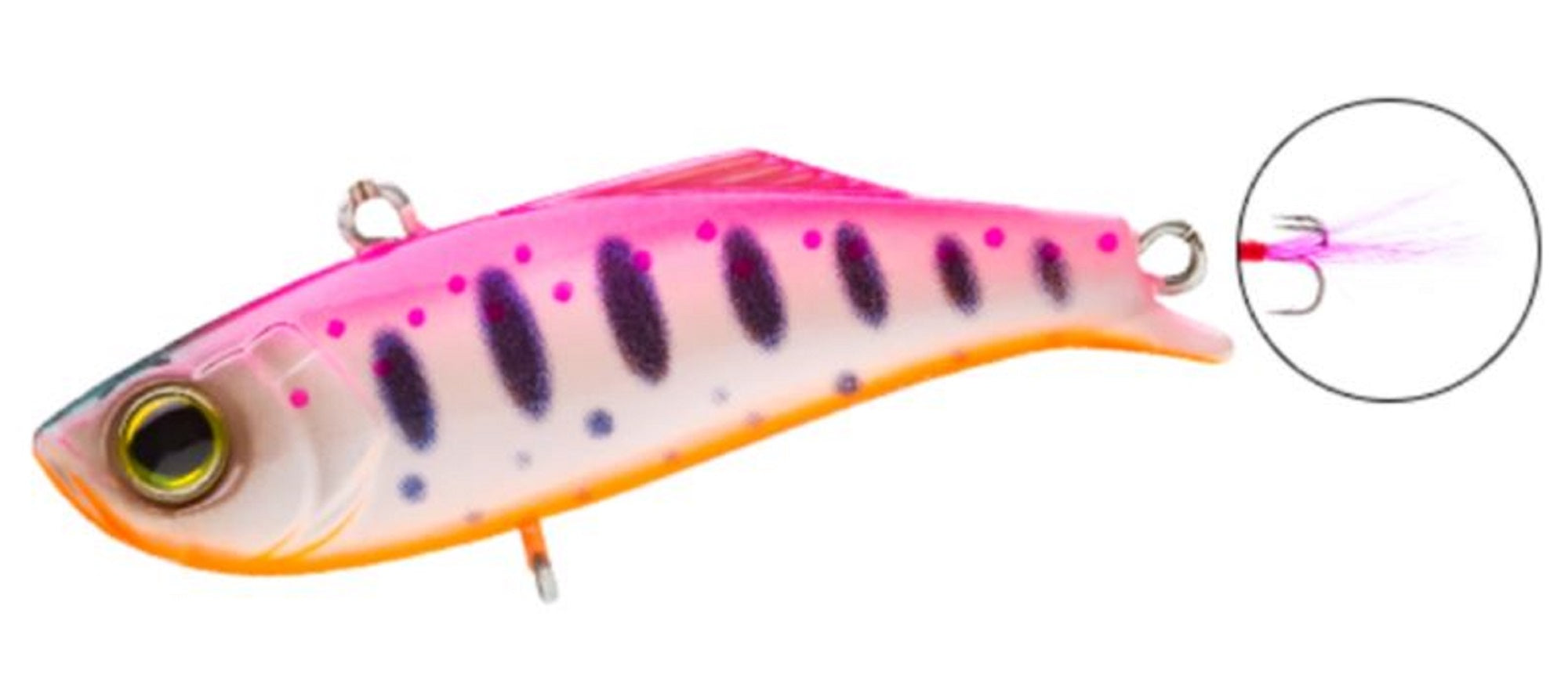 Lure Haven Singapore