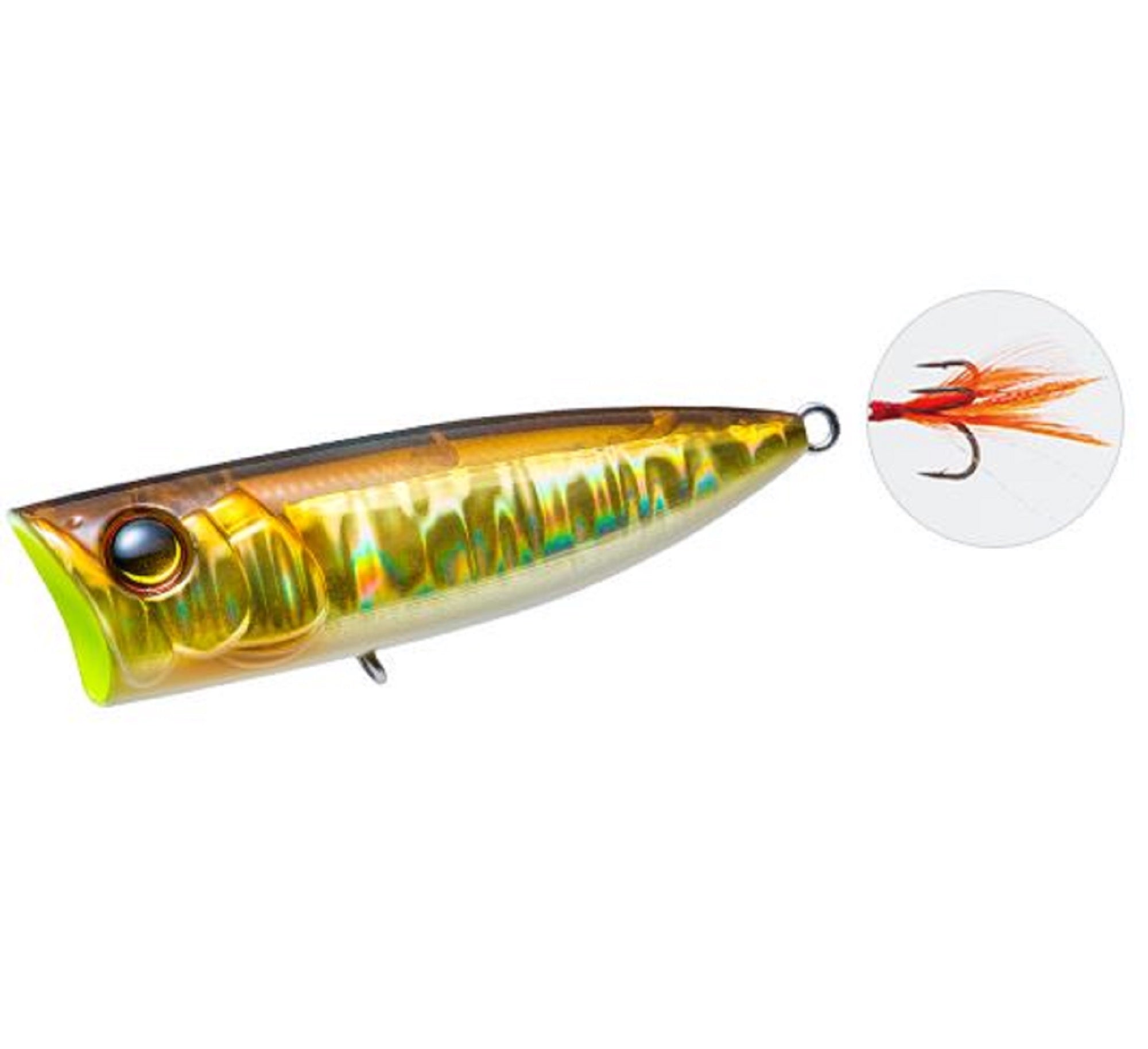 Lure Haven Singapore