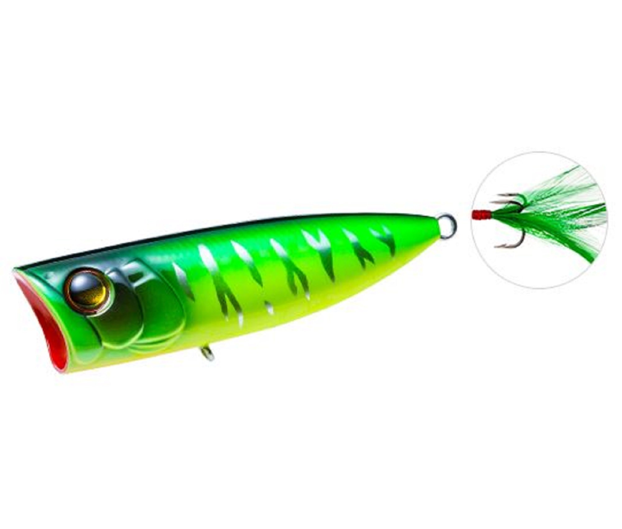Lure Haven Singapore