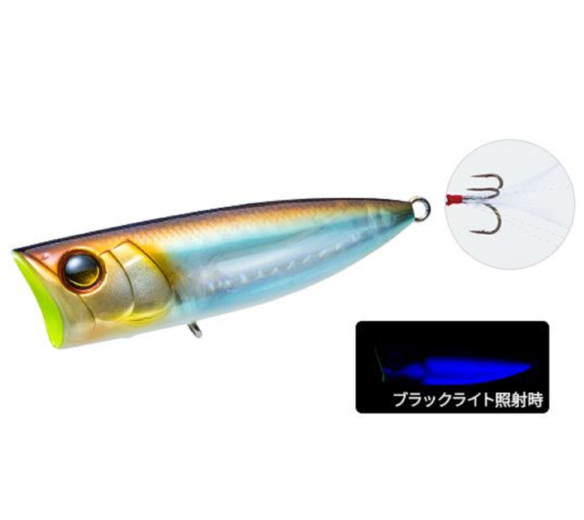 Lure Haven Singapore