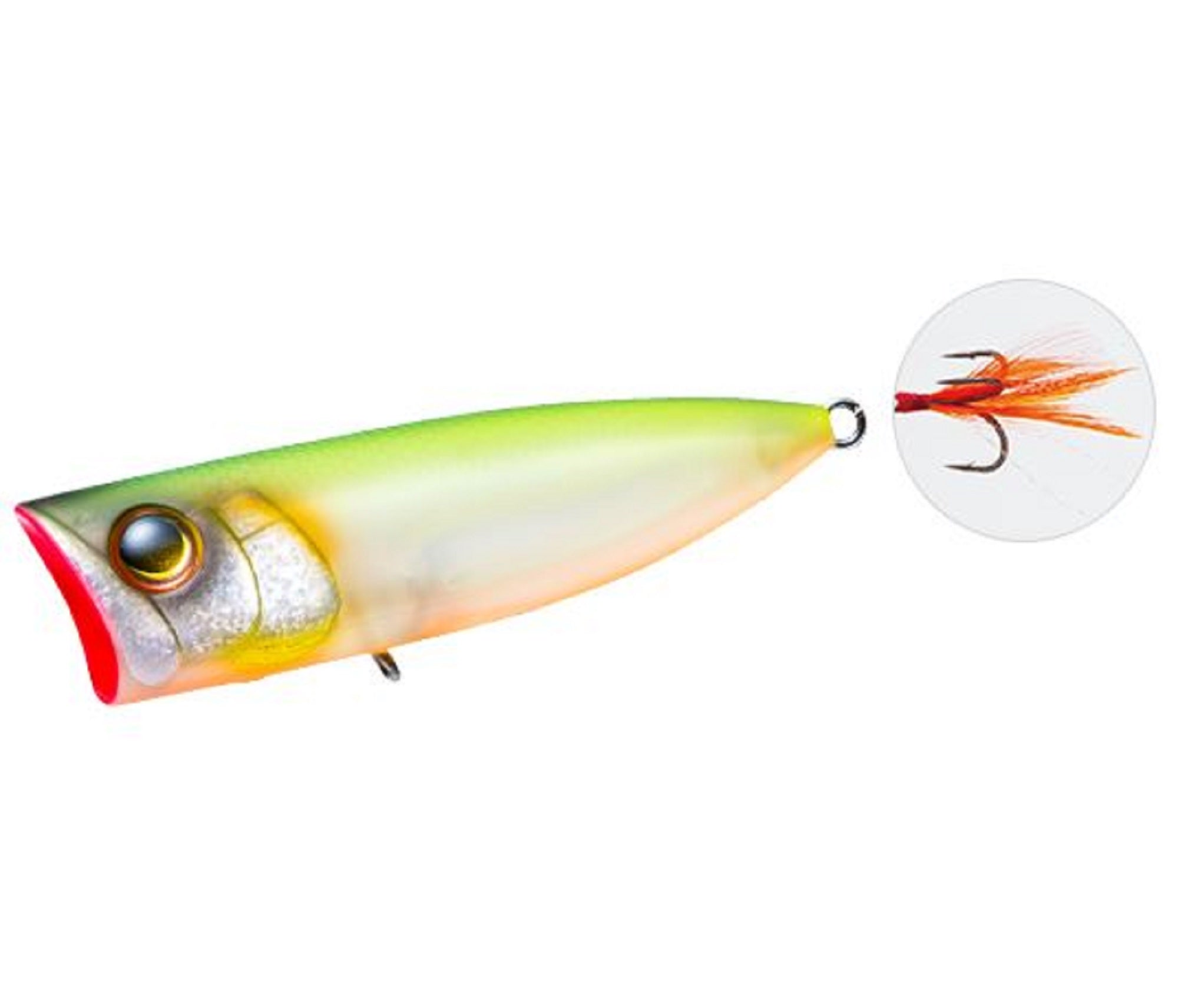 Lure Haven Singapore