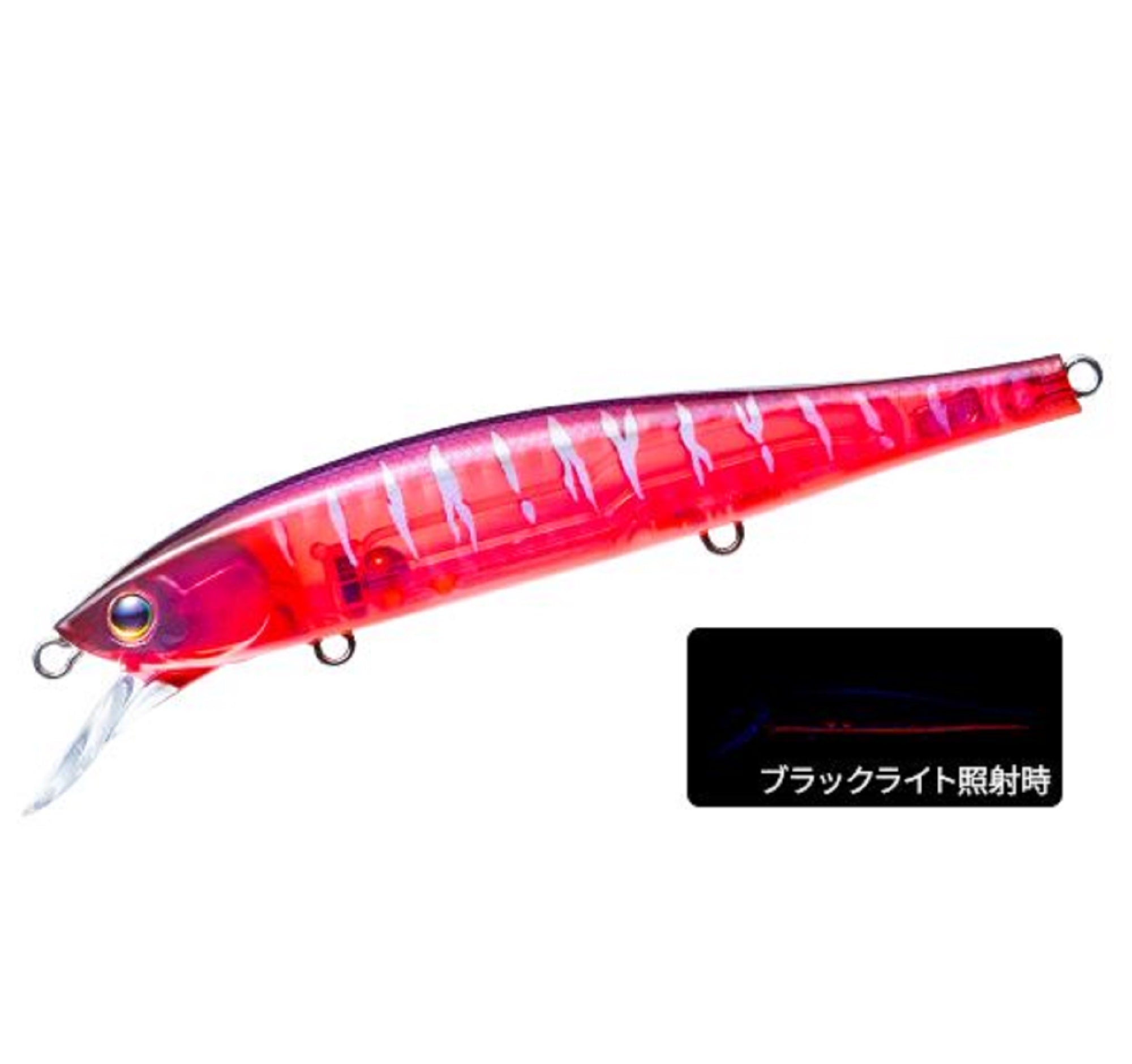 Lure Haven Singapore