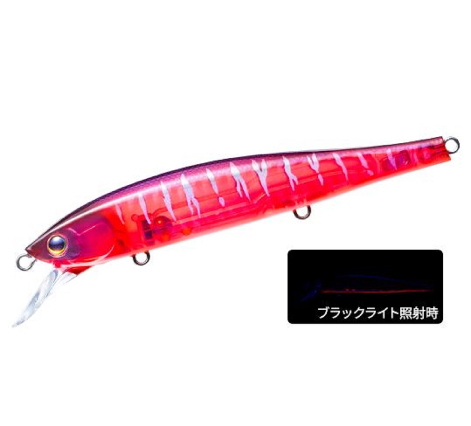 Lure Haven Singapore