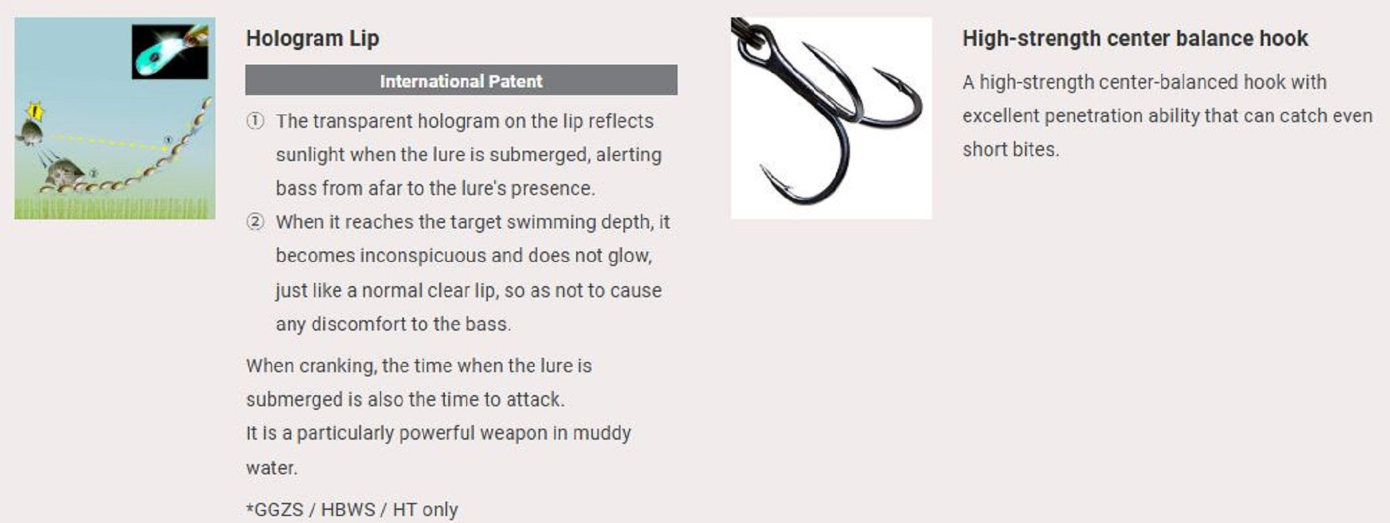 Lure Haven Singapore