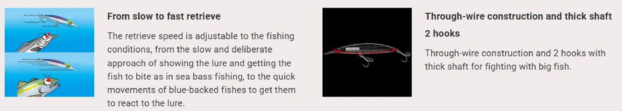 Lure Haven Singapore