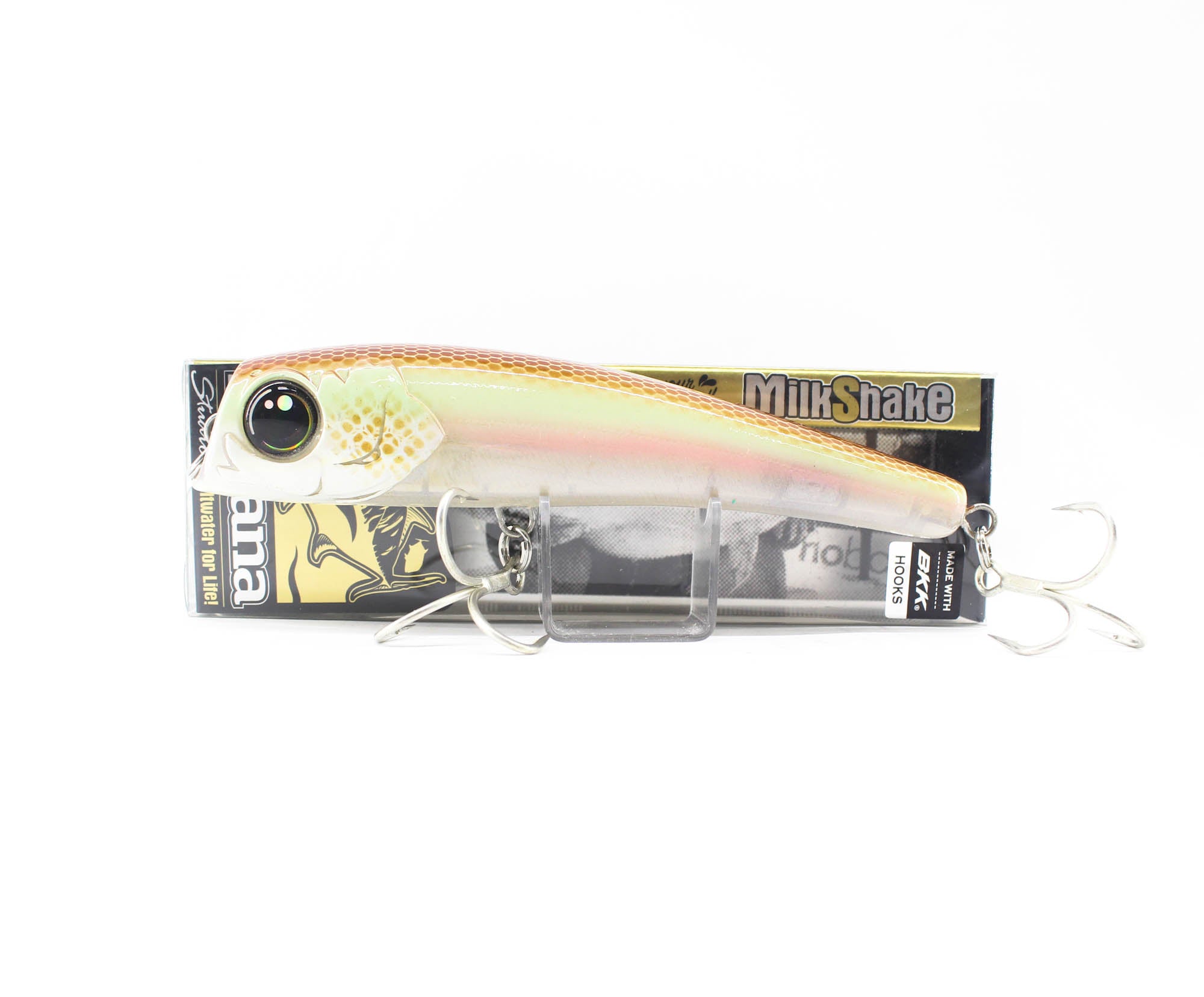 Lure Haven Singapore