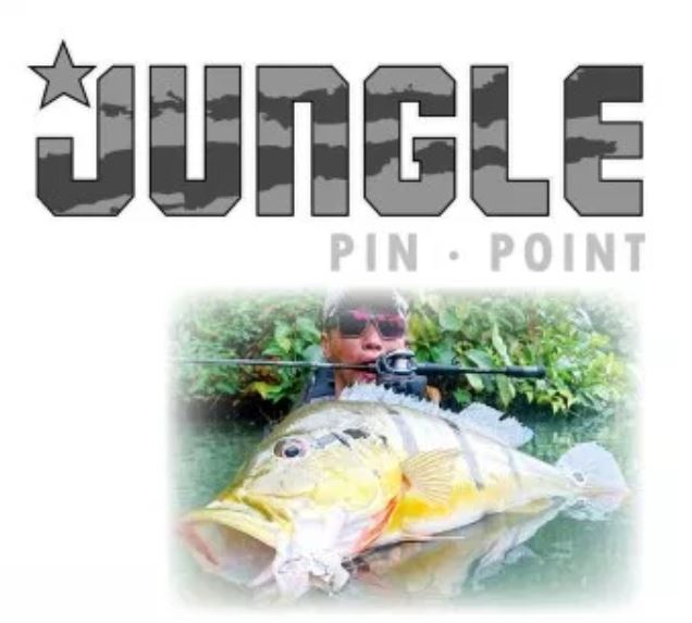 Feed Rod Baitcast Jungle Pin Point JBC-66 ML P.E 1.5 Max (0162)