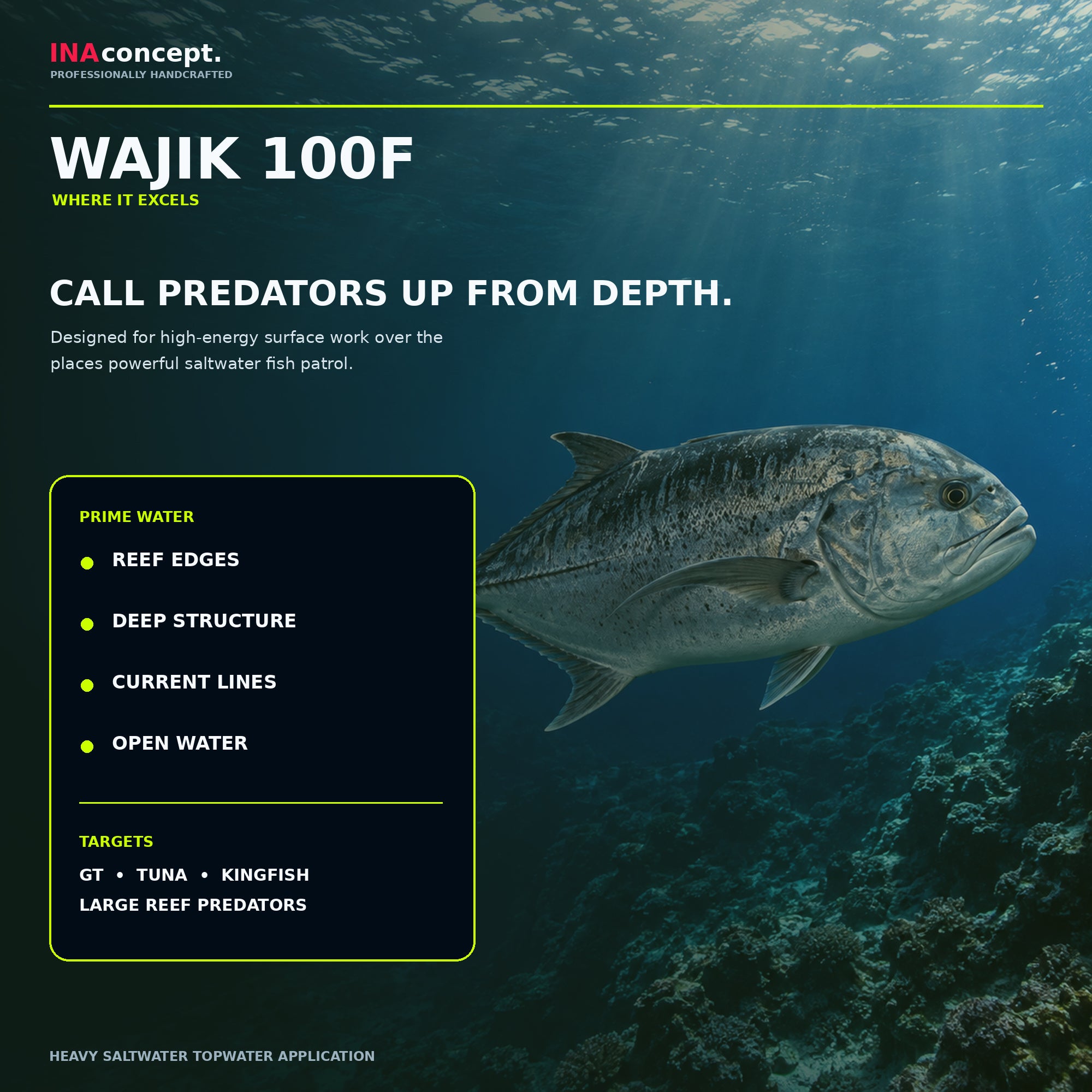 Ina Concept Wajik 185mm 100 grams Popper Floating Lure Blue (4002)