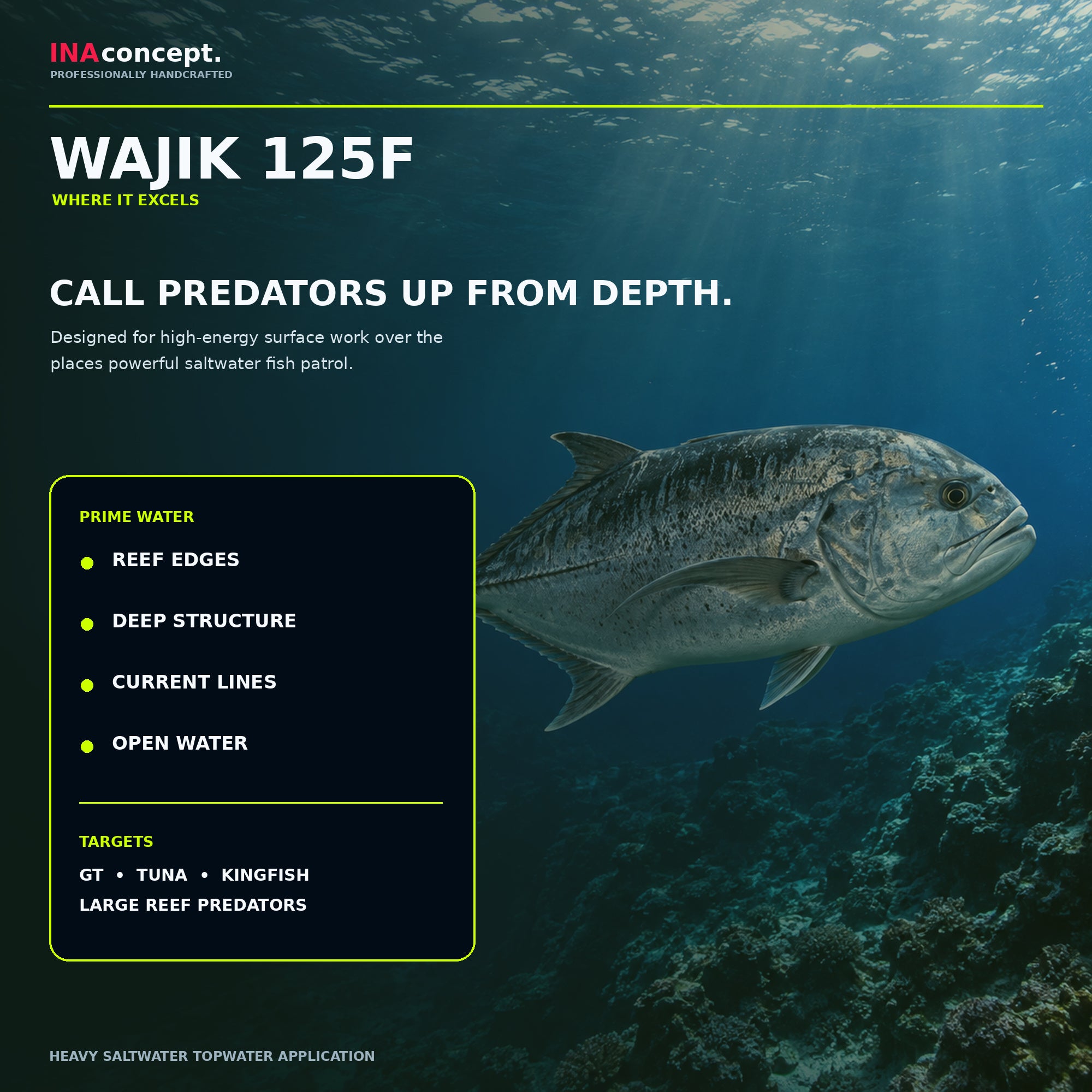 Ina Concept Wajik 210mm 125 grams Popper Floating Lure Chart (4012)