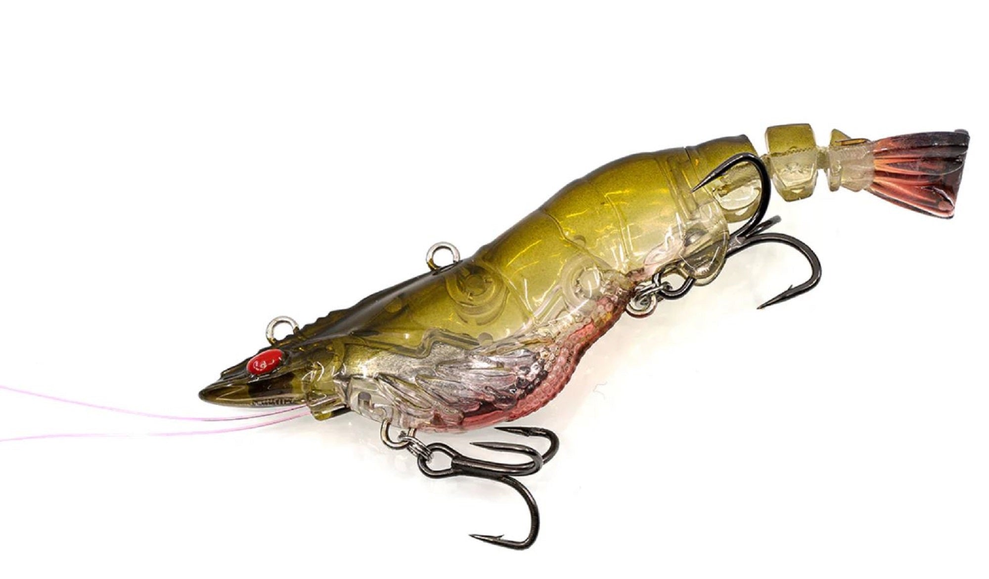 Lure Haven Singapore