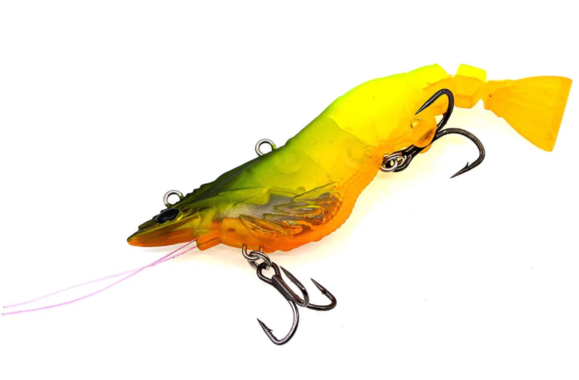 Lure Haven Singapore