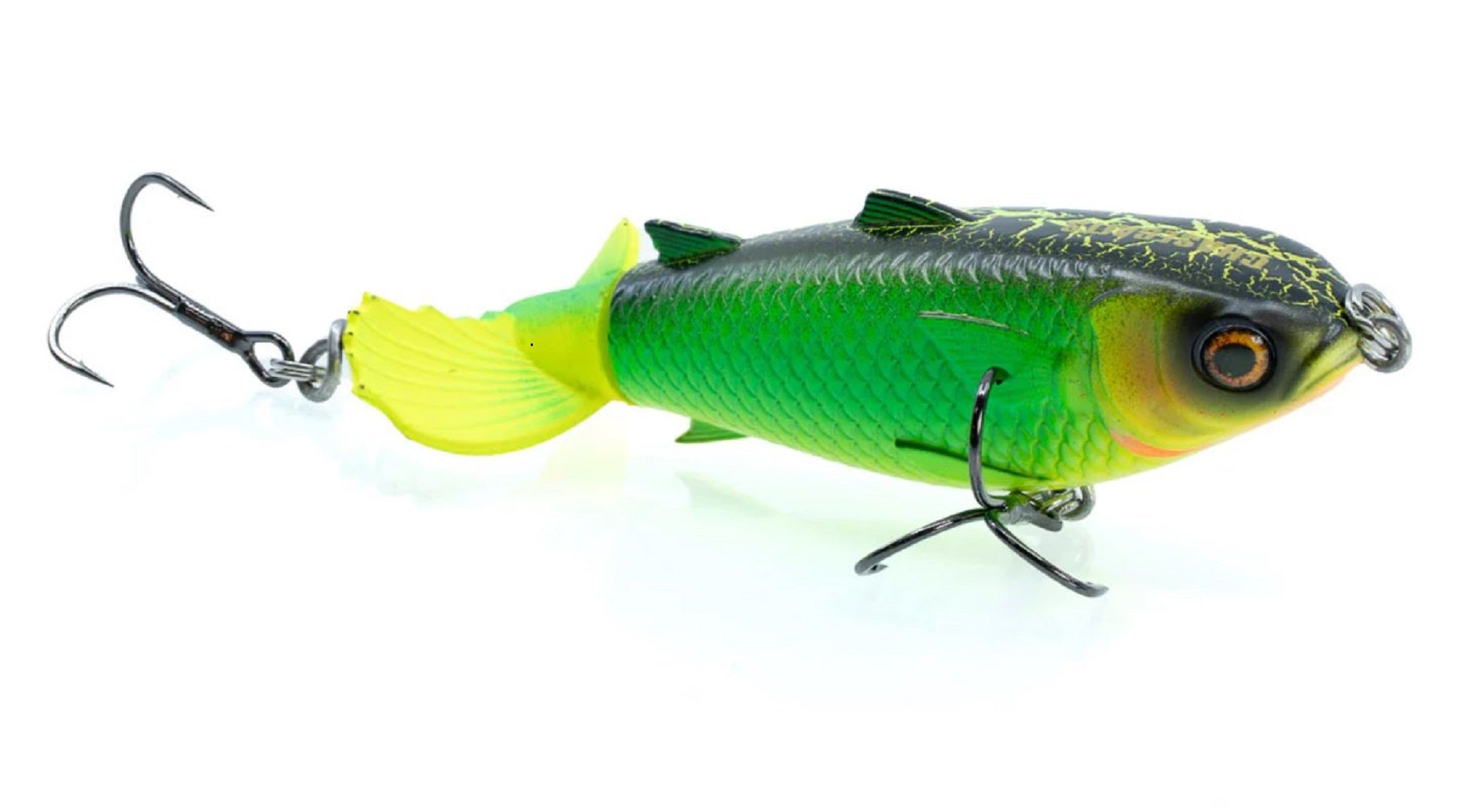 Lure Haven Singapore