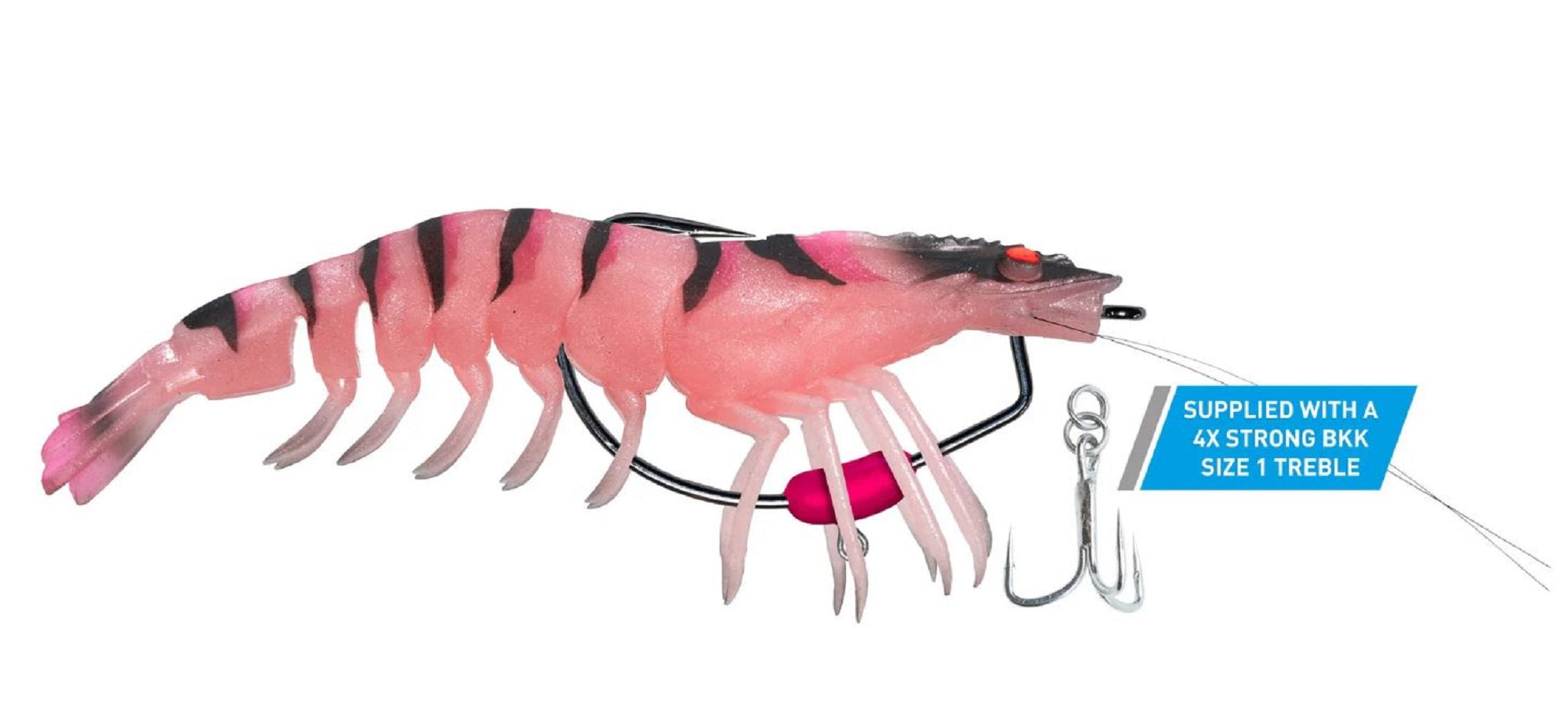 Lure Haven Singapore