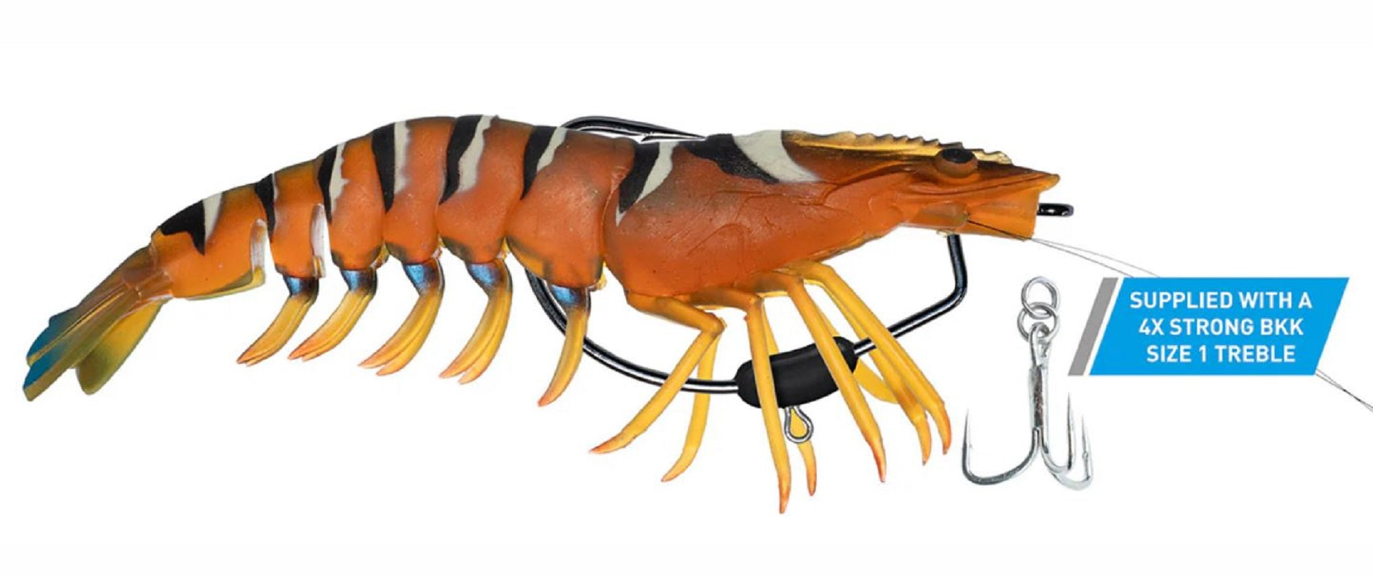 Lure Haven Singapore