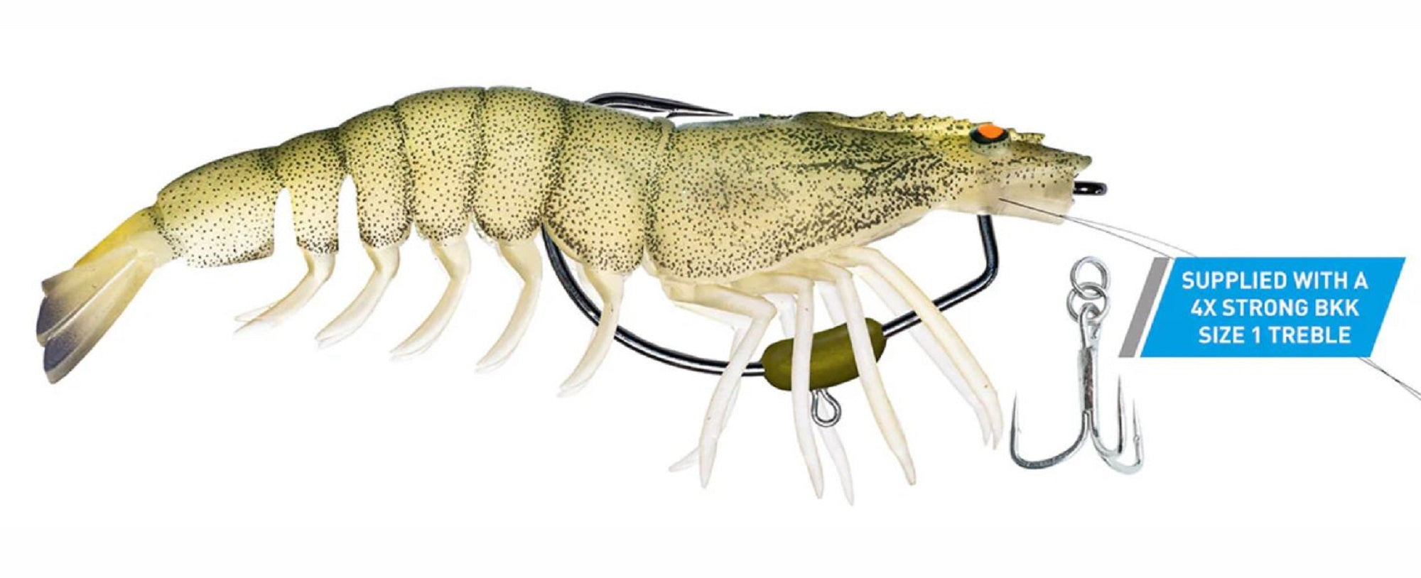 Lure Haven Singapore