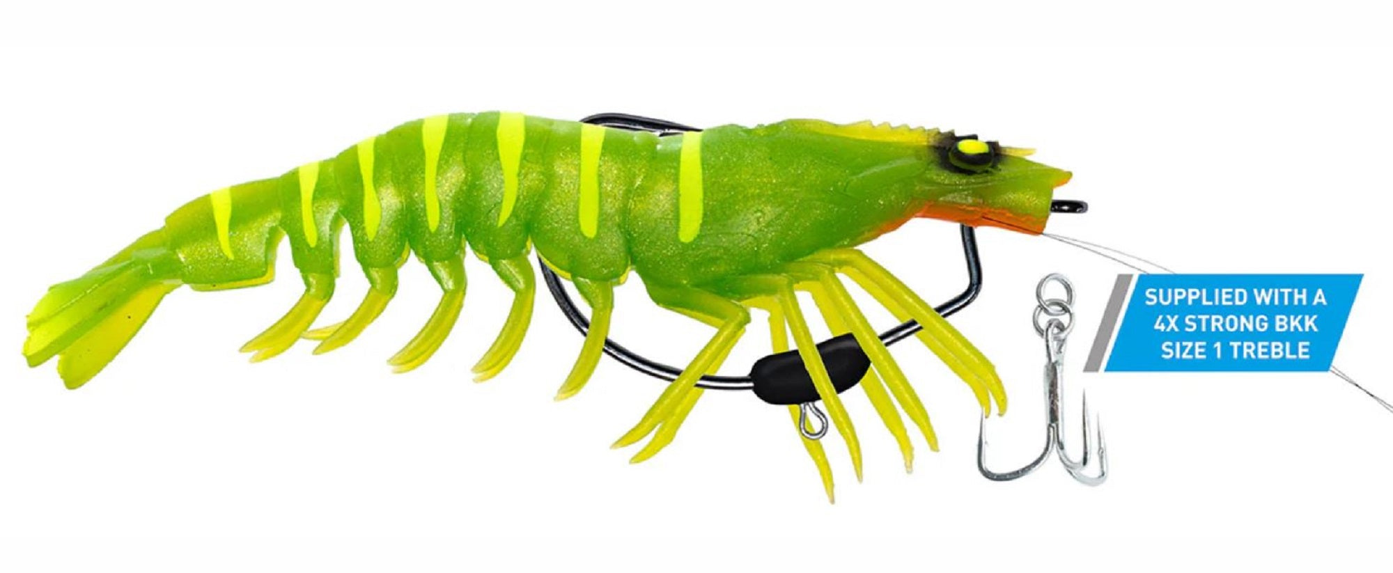 Lure Haven Singapore