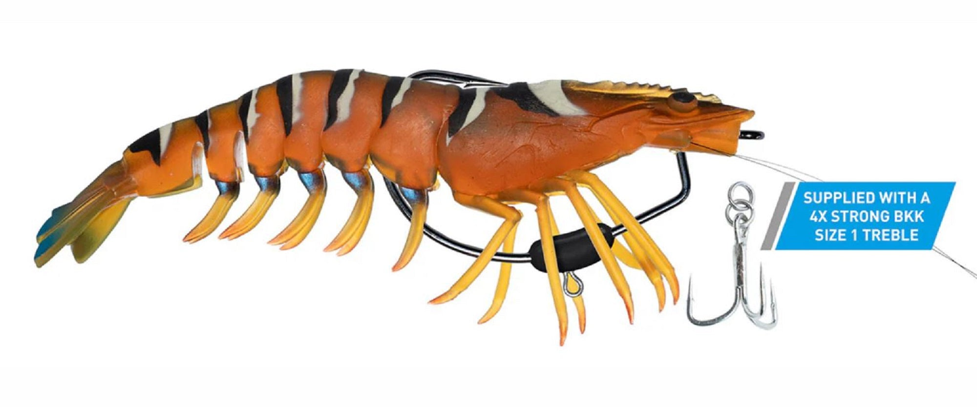 Lure Haven Singapore