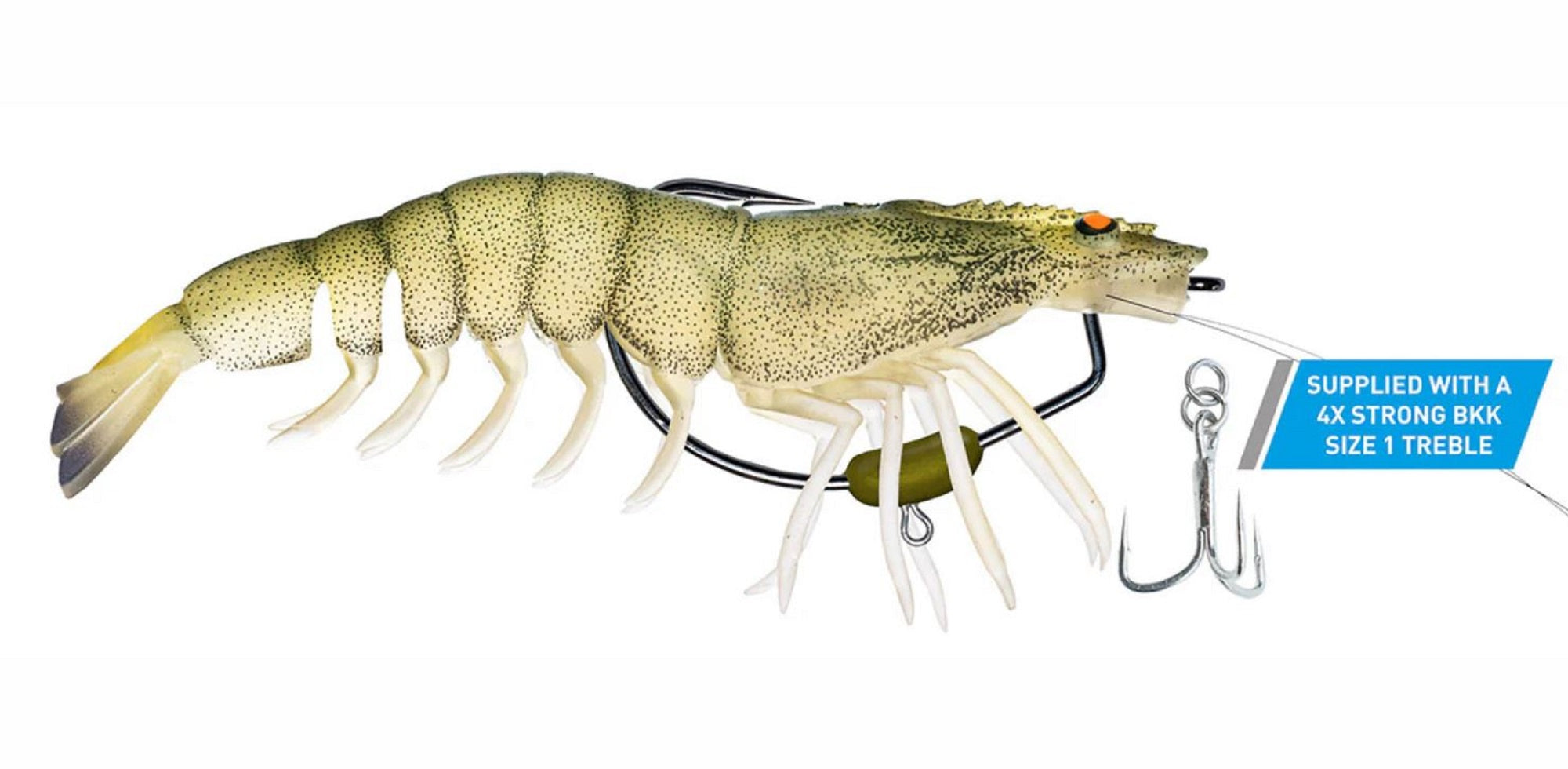 Lure Haven Singapore