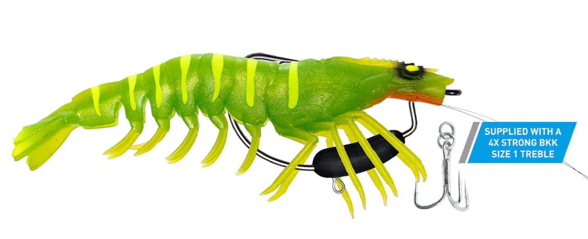 Lure Haven Singapore