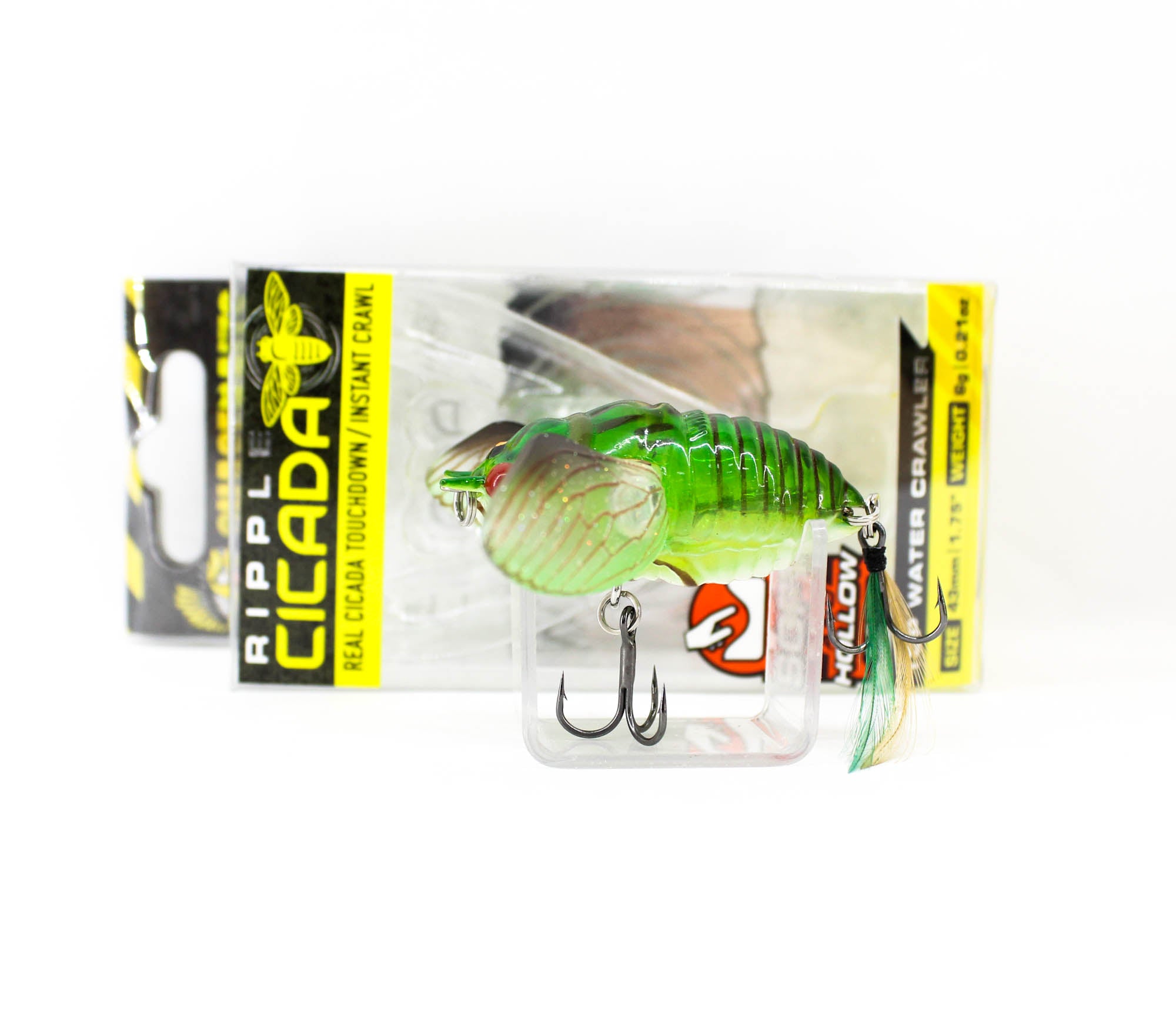 Lure Haven Singapore
