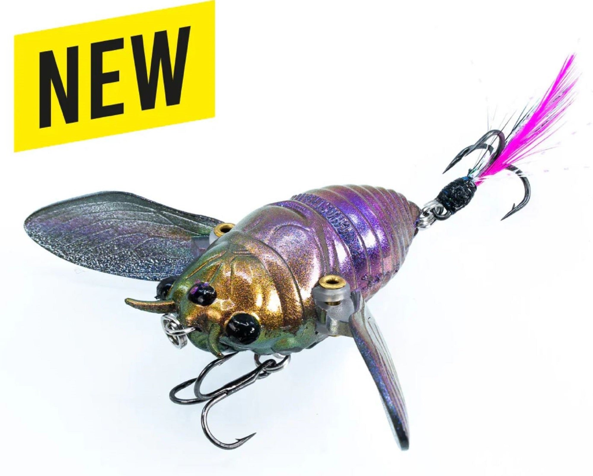 Lure Haven Singapore