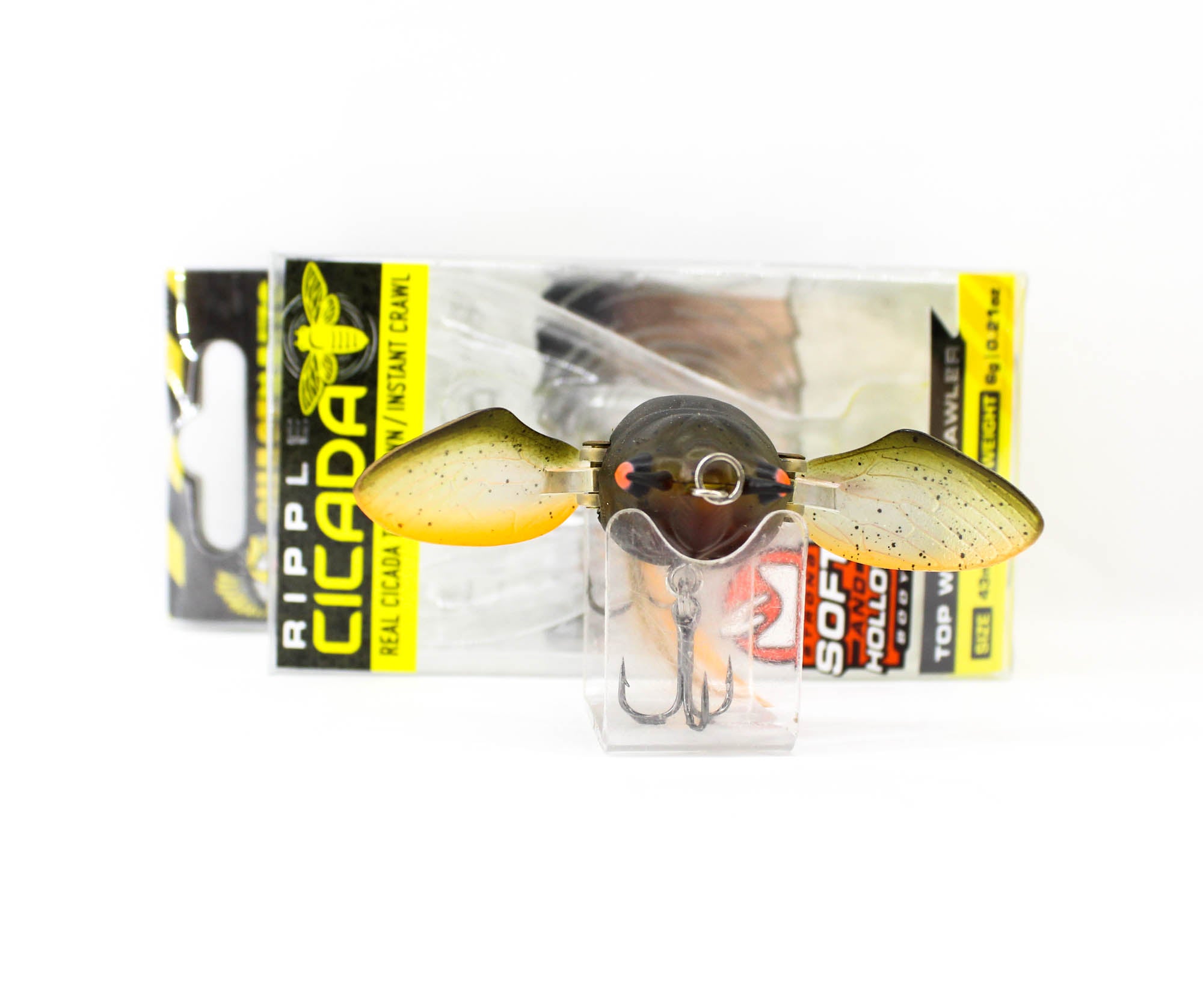 Lure Haven Singapore